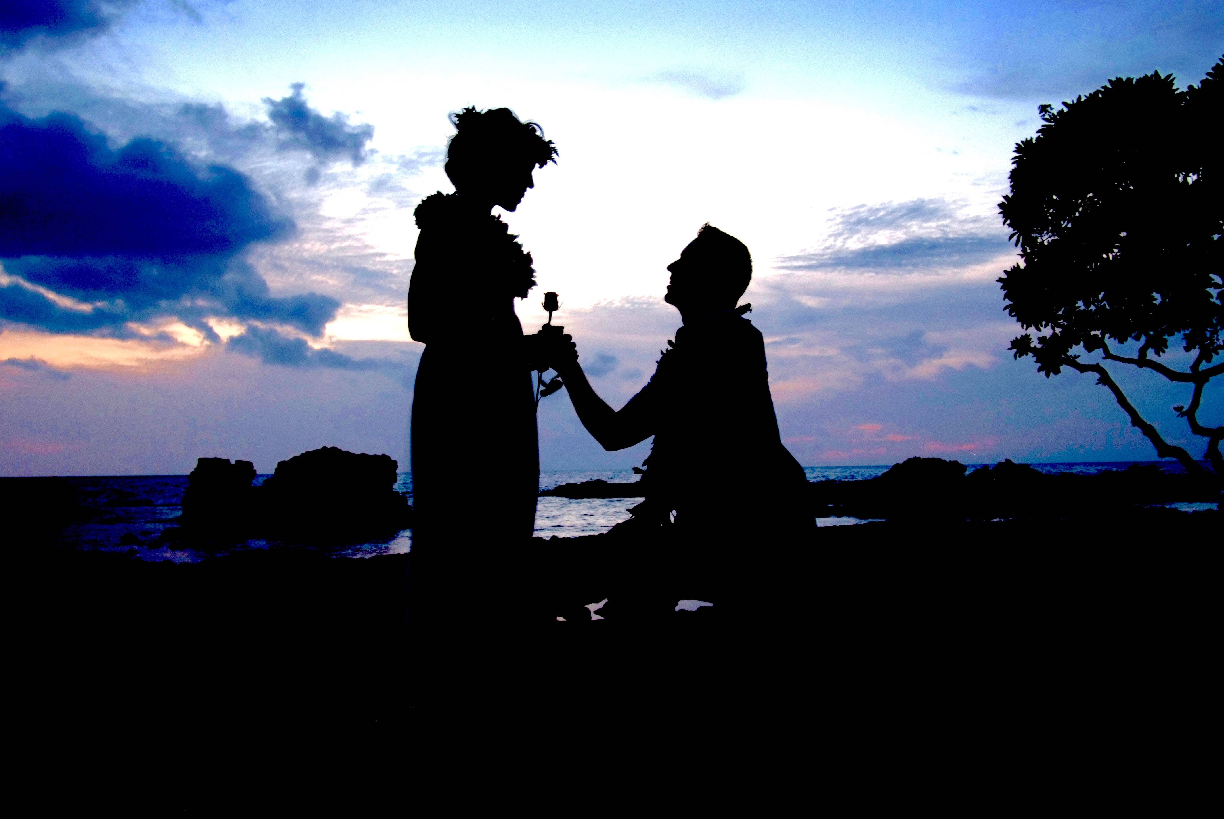 Romantic Love Tropical Proposal, silhouetted couple, sunset, 4K Desktop Wallpaper