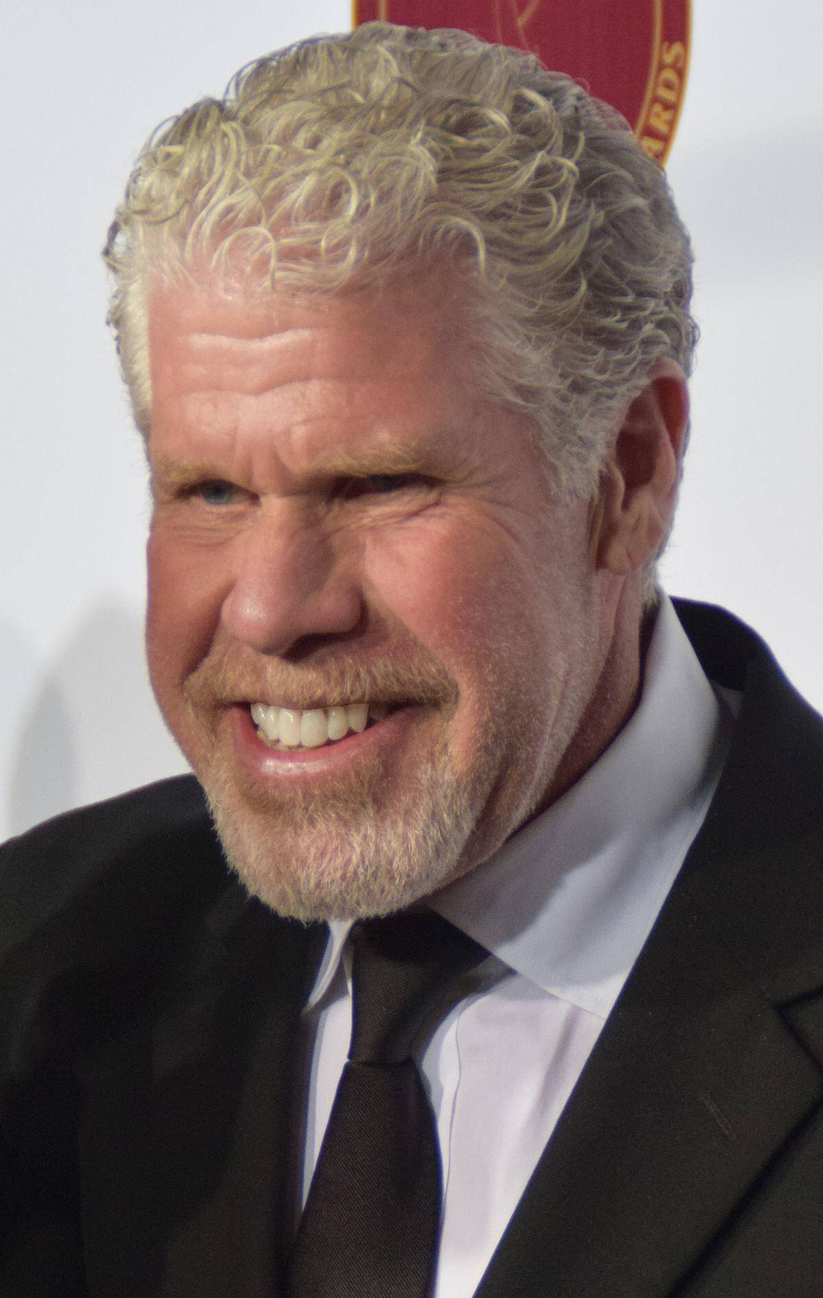 Ron Perlman, curly gray hair, beard, HD Phone Wallpaper