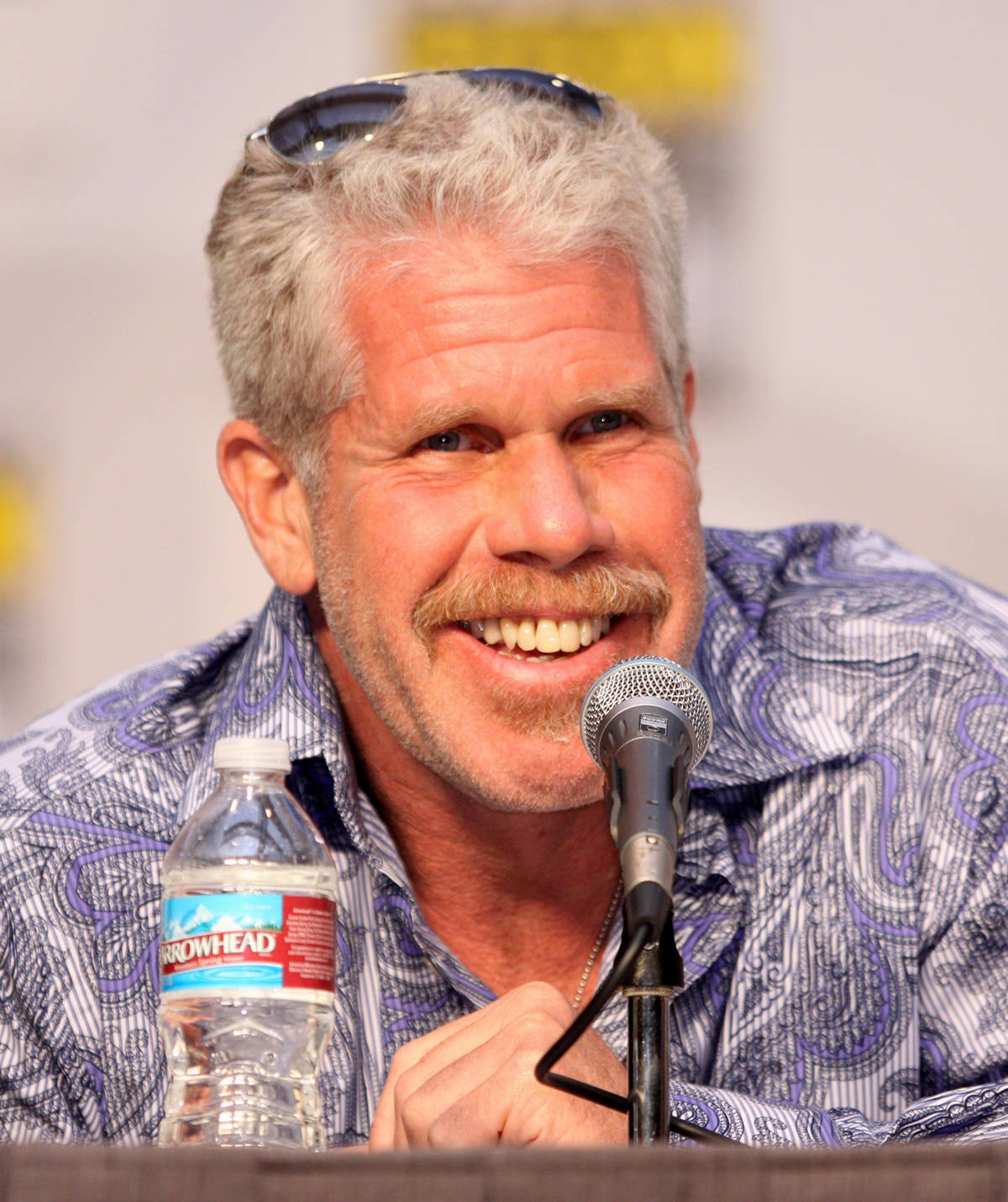 Ron Perlman, fan meeting, microphone, HD Phone Wallpaper