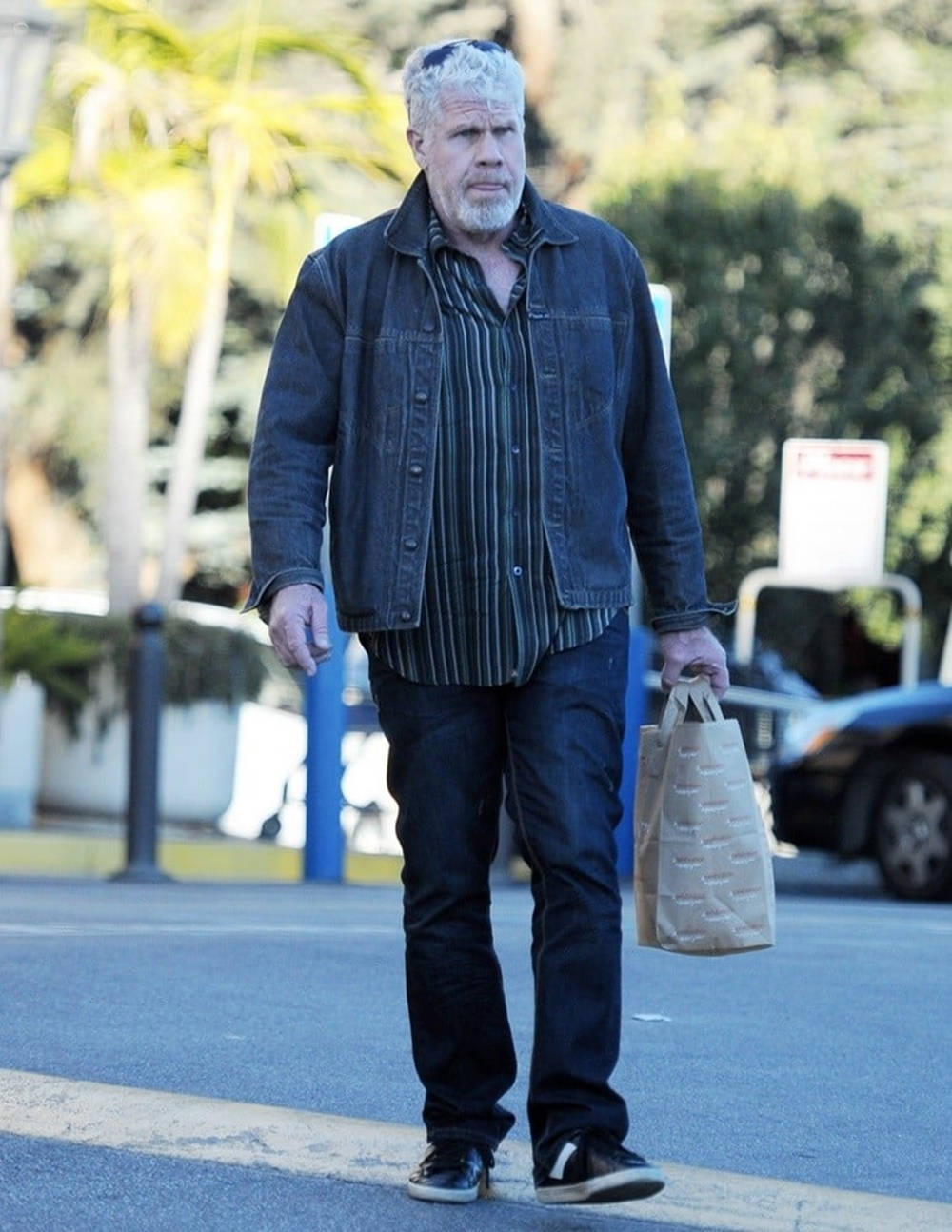 Ron Perlman, gray hair, beard, HD Phone Wallpaper