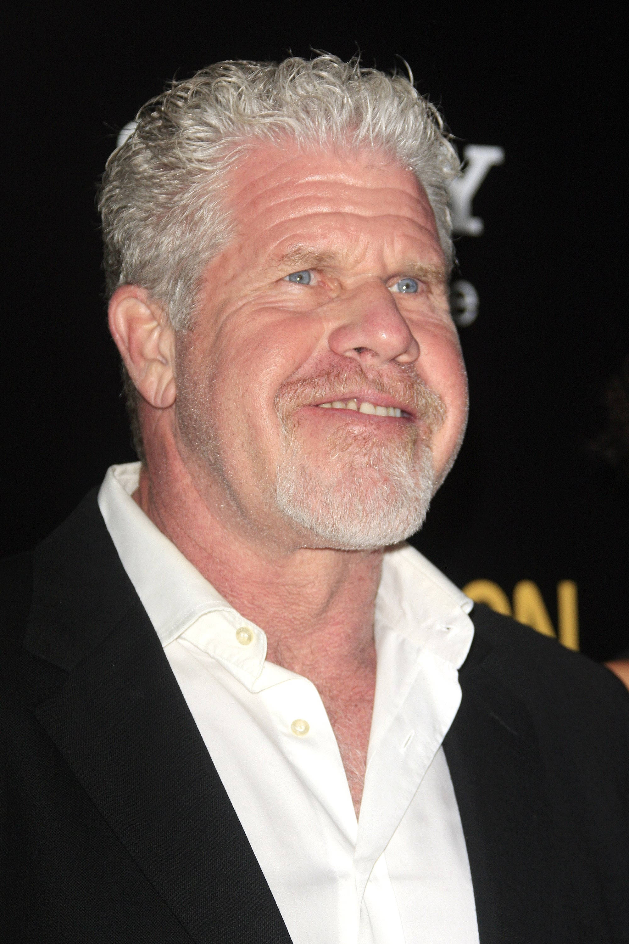 Ron Perlman, gray hair, beard, 2K Phone Wallpaper