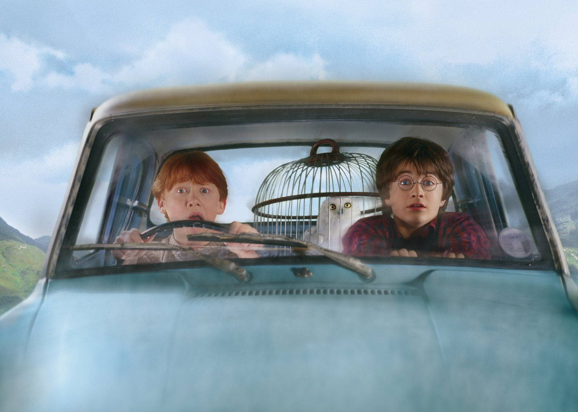 Ron Weasley, flying car, snowy owl, Full HD Desktop Wallpaper