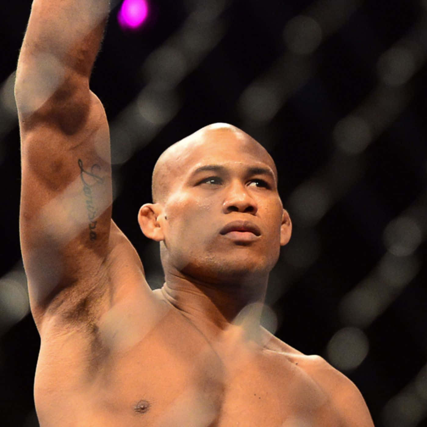 Ronaldo Souza, mixed martial artist, octagon, HD Desktop Wallpaper