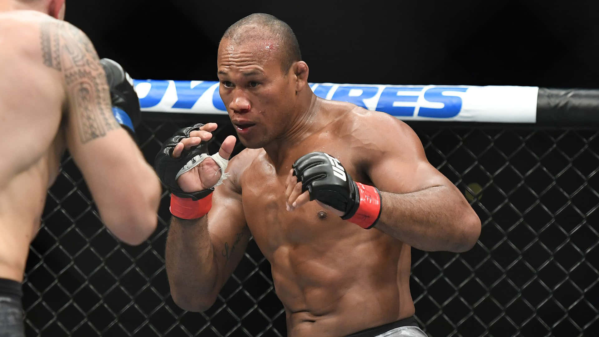 Ronaldo Souza, Brazilian Mixed Martial Artist, cage, Full HD Desktop Wallpaper