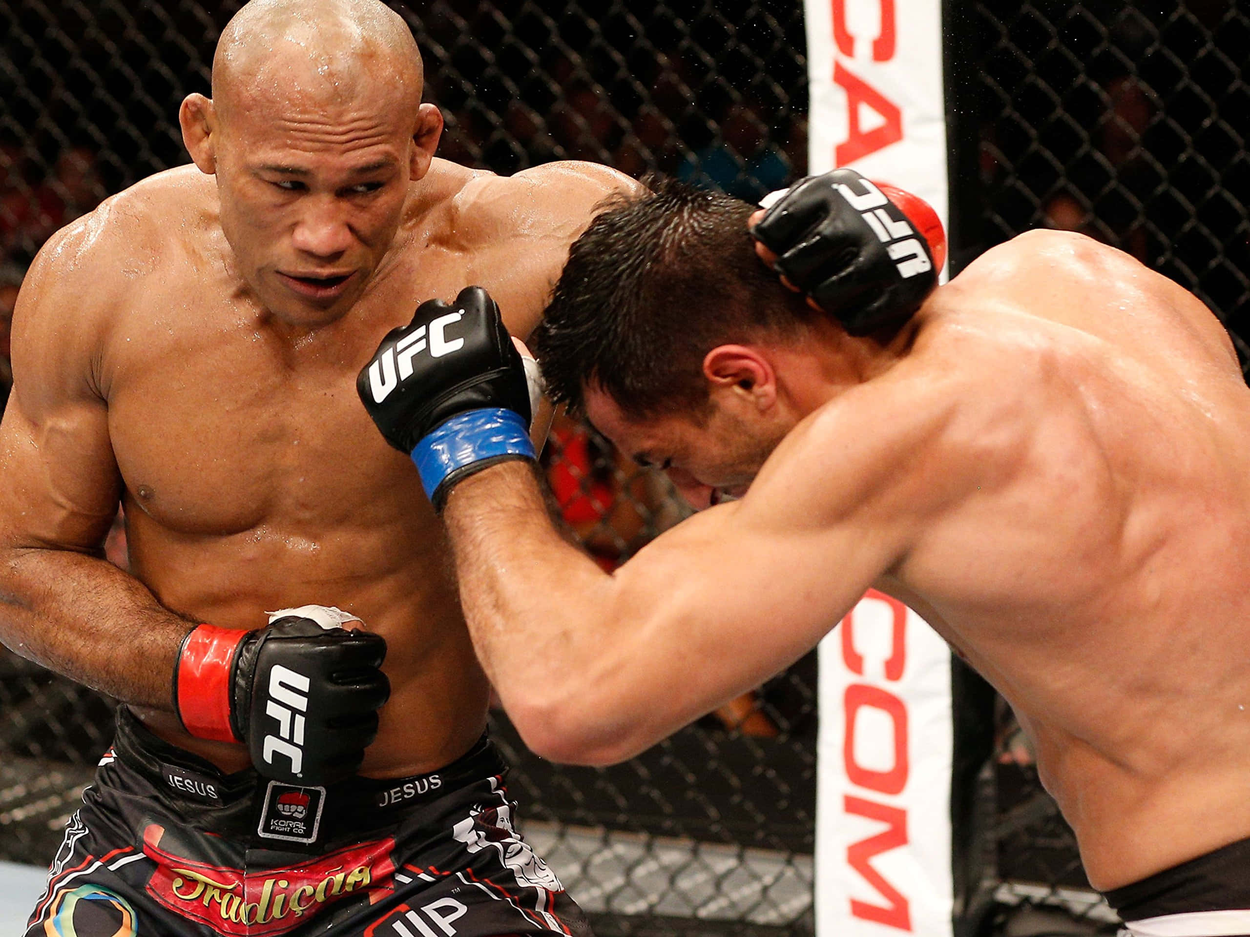 Ronaldo Souza, back head punch, MMA fight, 2K Desktop Wallpaper
