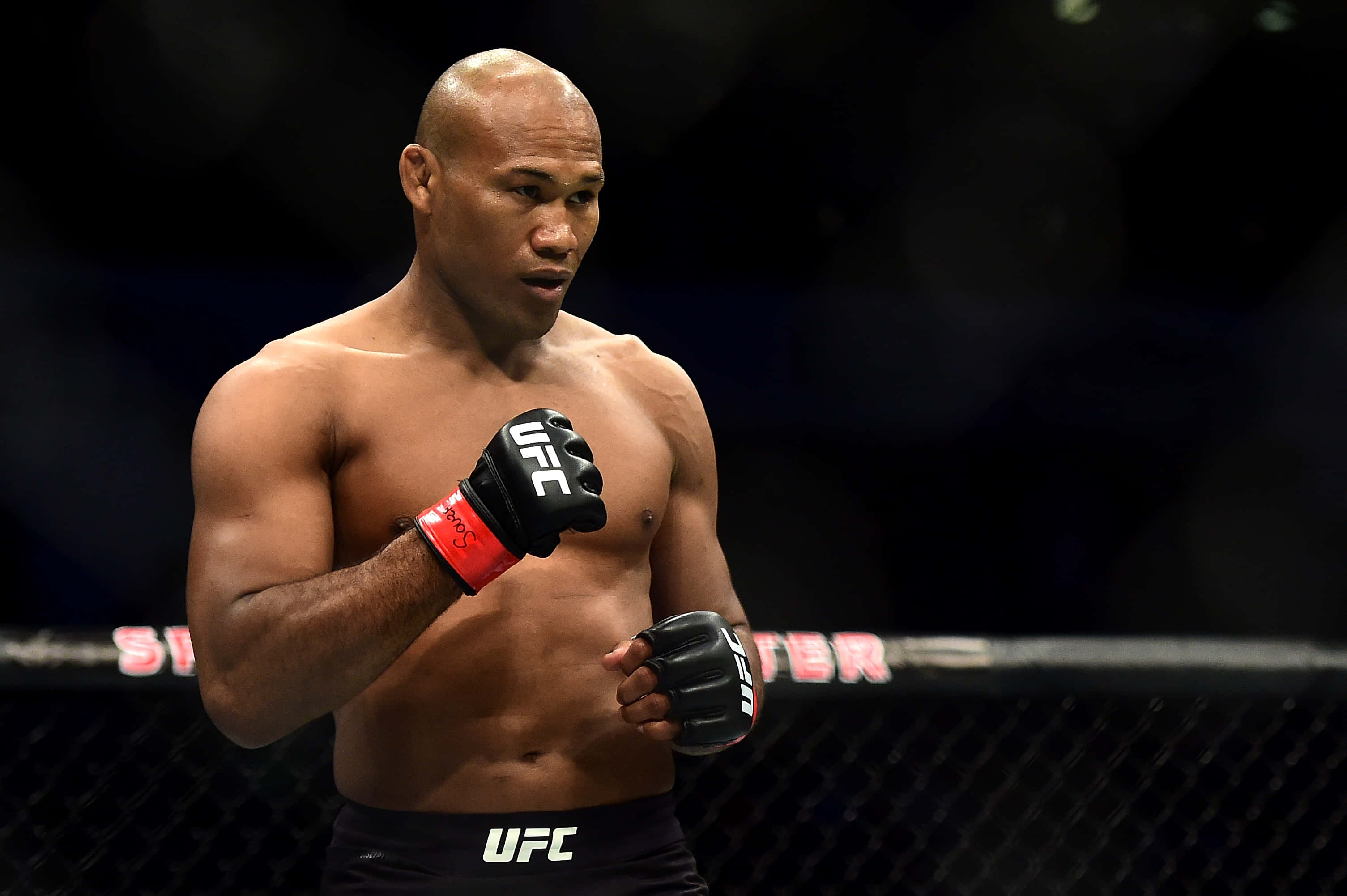 Ronaldo Souza, UFC fighter, octagon, 2K Desktop Wallpaper