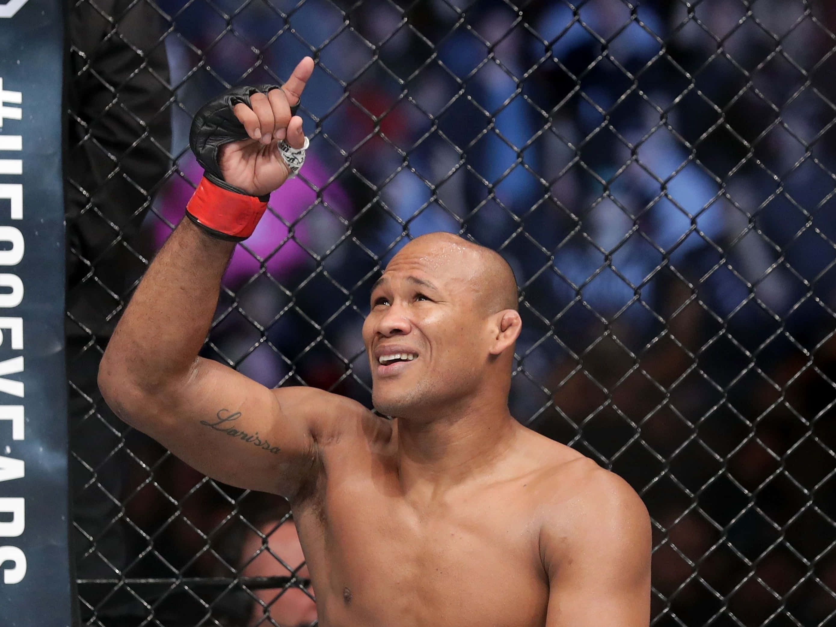Ronaldo Souza, mixed martial artist, cage, 2K Desktop Wallpaper