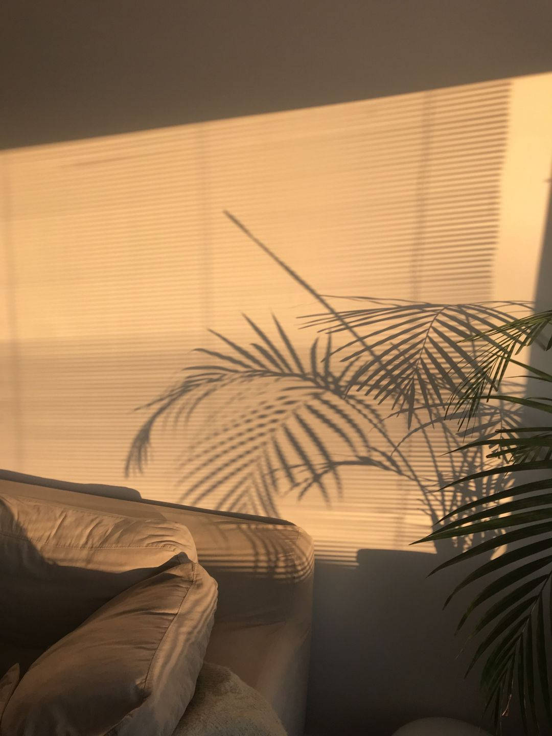 beige sofa, golden sunlight, blinds, HD Phone Wallpaper