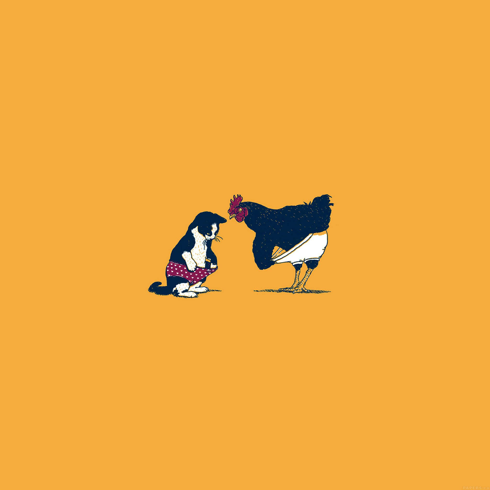 black and white cat, polka dot shorts, black rooster, Full HD Desktop Wallpaper
