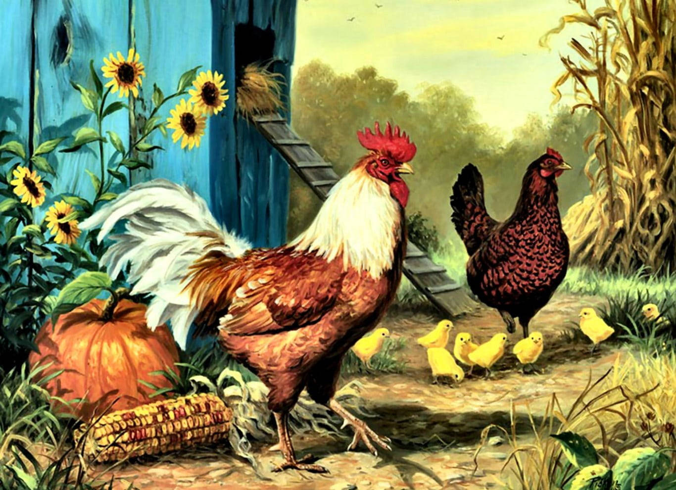 rooster, hen, chicks, HD Desktop Wallpaper