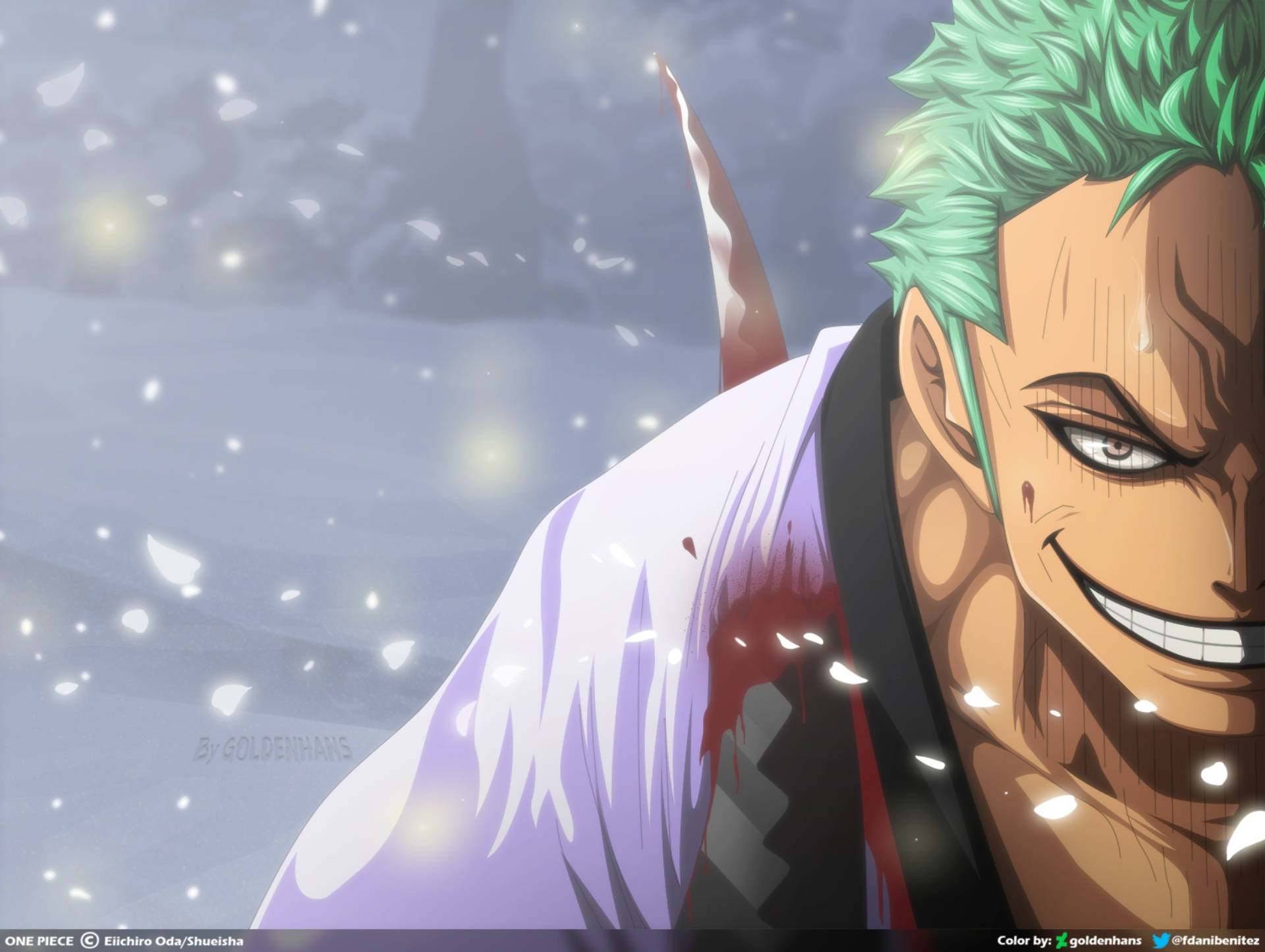 Roronoa Zoro, spiky green hair, bloodied white coat, Full HD Desktop Wallpaper