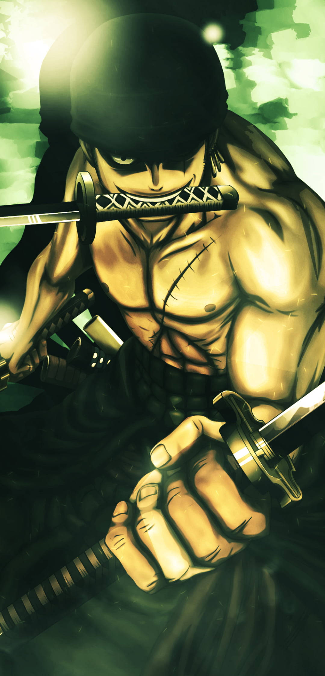 Roronoa Zoro, anime swordsman, two swords, Full HD Phone Wallpaper