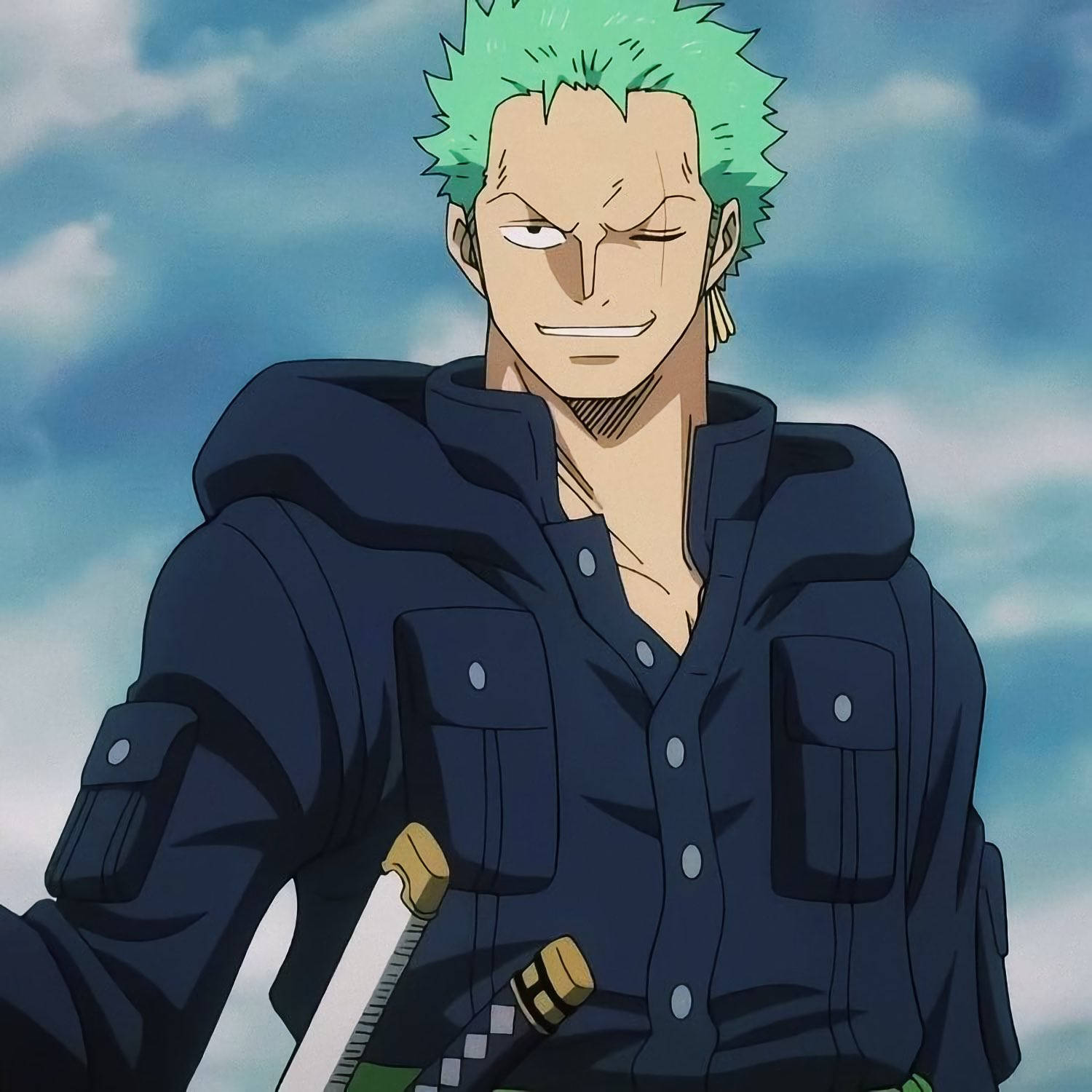 Roronoa Zoro, spiky green hair, smirk, HD Desktop Wallpaper