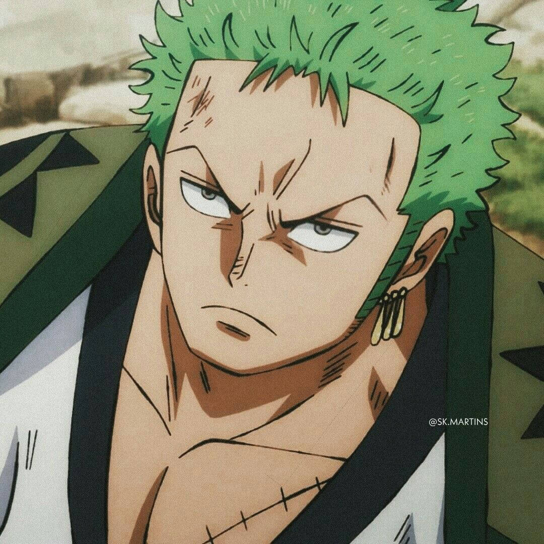 Roronoa Zoro, spiky green hair, scarred face, SD Desktop Wallpaper