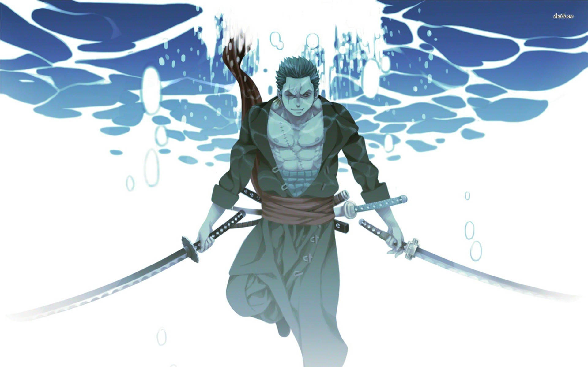 Roronoa Zoro, underwater, muscular anime swordsman, Full HD Desktop Wallpaper