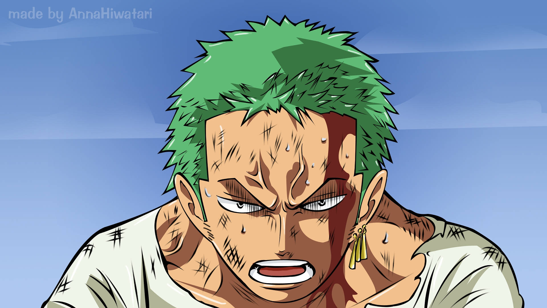 Roronoa Zoro, spiky green hair, fierce expression, Full HD Desktop Wallpaper
