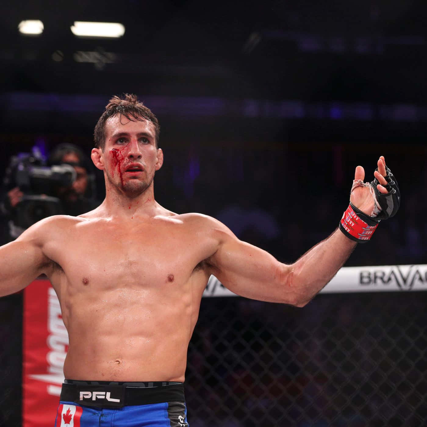 Rory MacDonald, MMA fighter, cage, HD Desktop Wallpaper