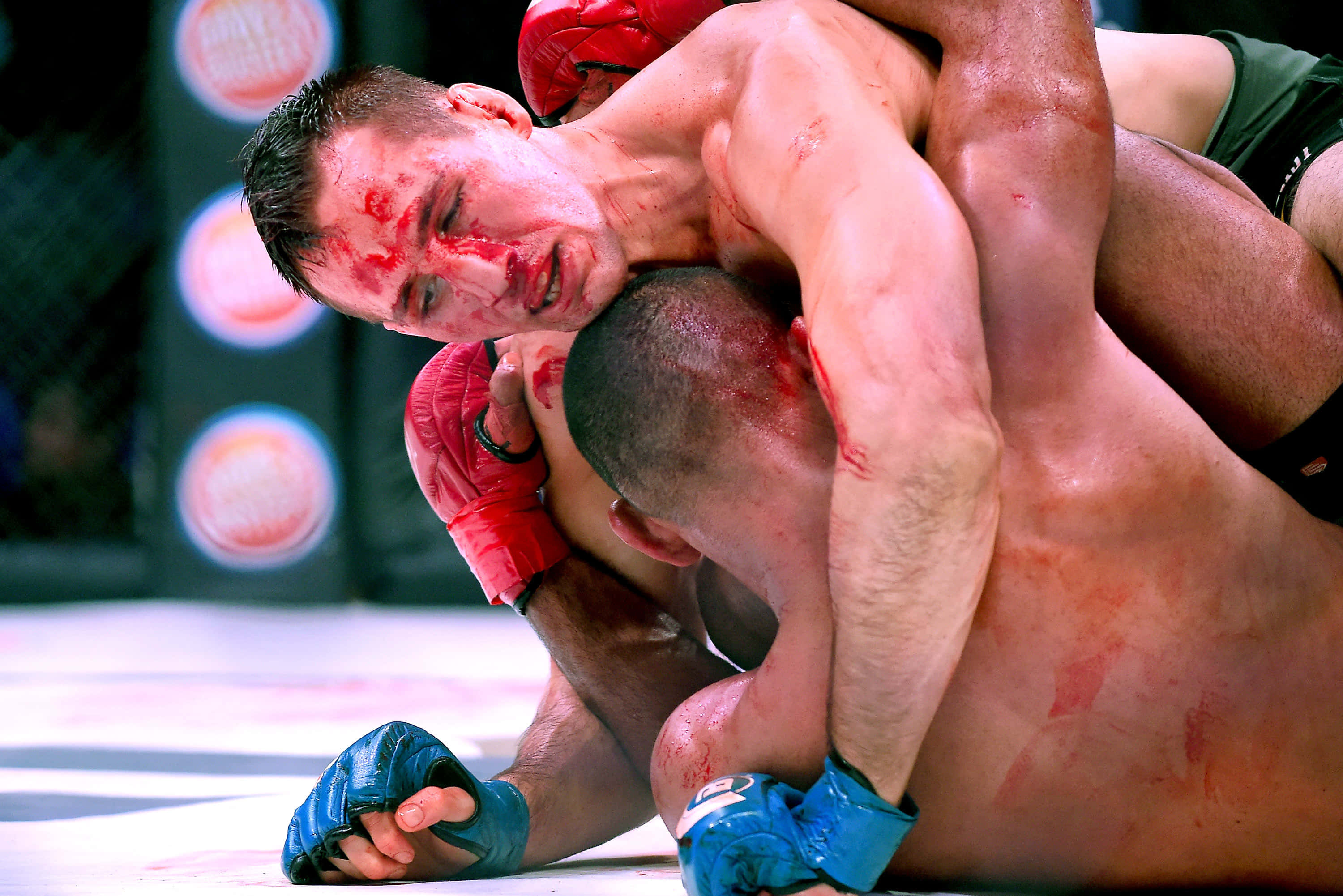 Rory MacDonald, grappling, mat, 2K Desktop Wallpaper