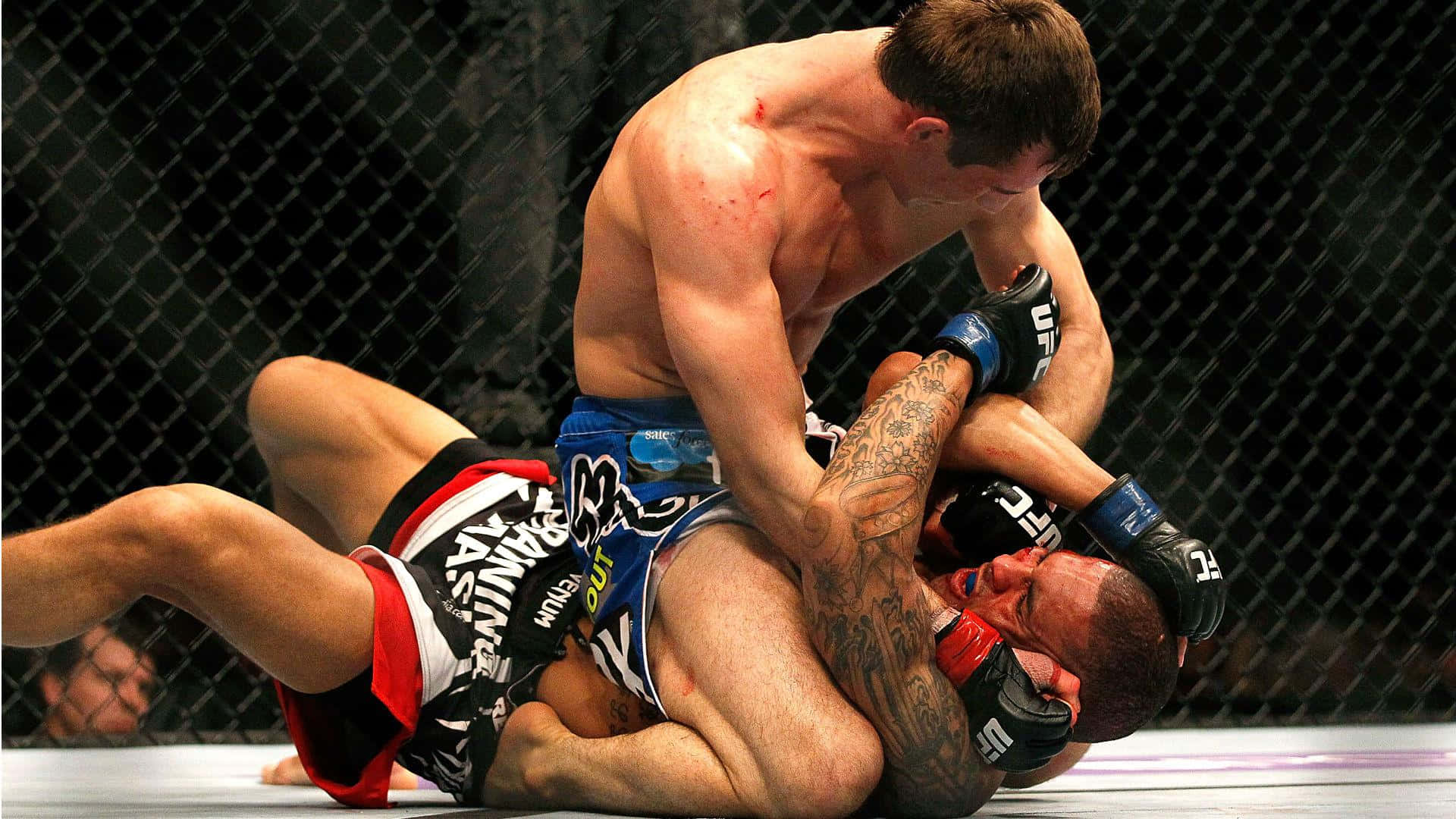 Rory MacDonald, MMA octagon mat, chain-link fence backdrop, Full HD Desktop Wallpaper