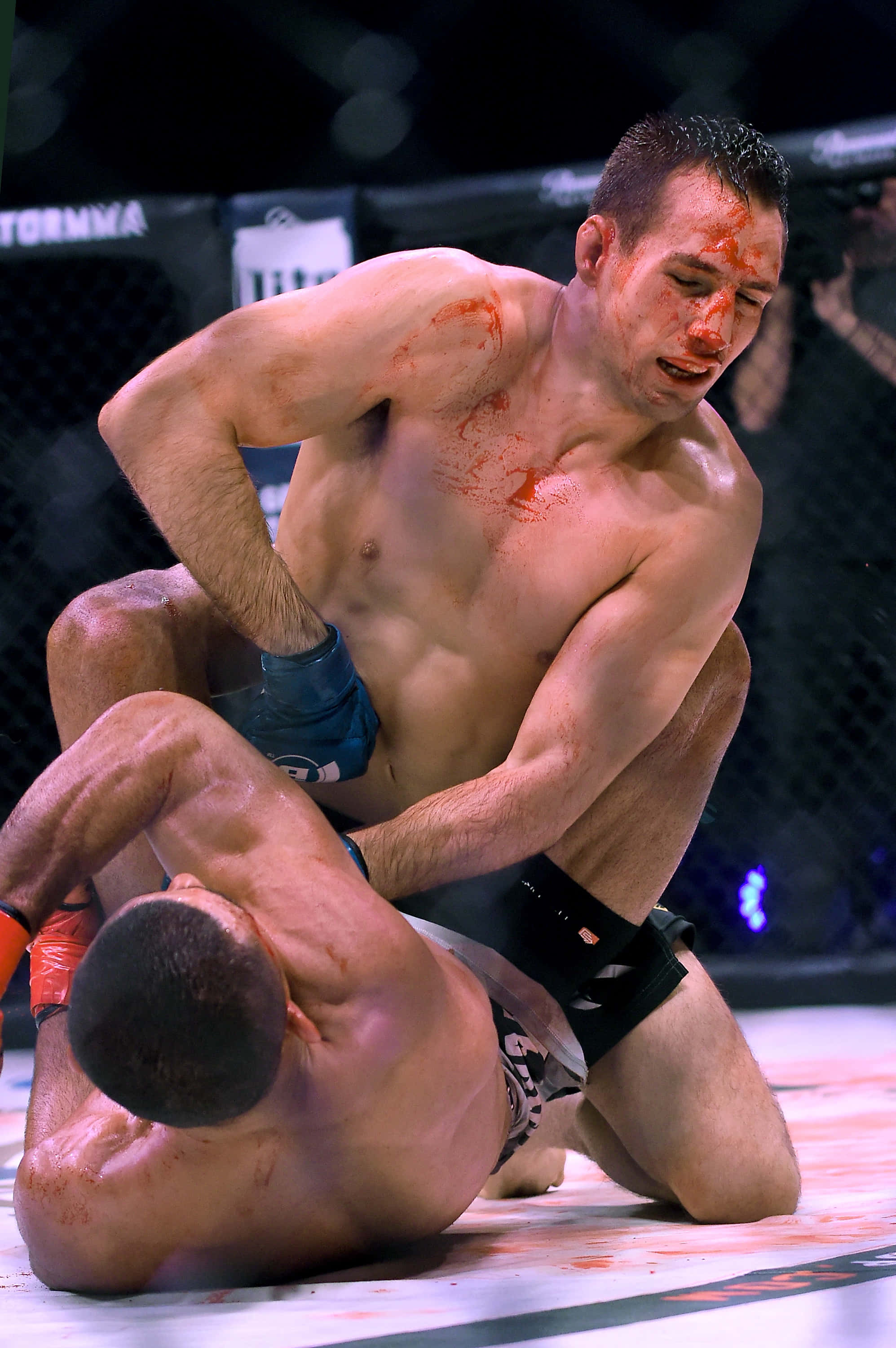 Rory MacDonald, bloody nose, cage-fenced octagon mat, 2K Phone Wallpaper