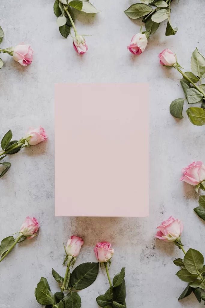 pink rose, iPhone, blank card, SD Phone Wallpaper