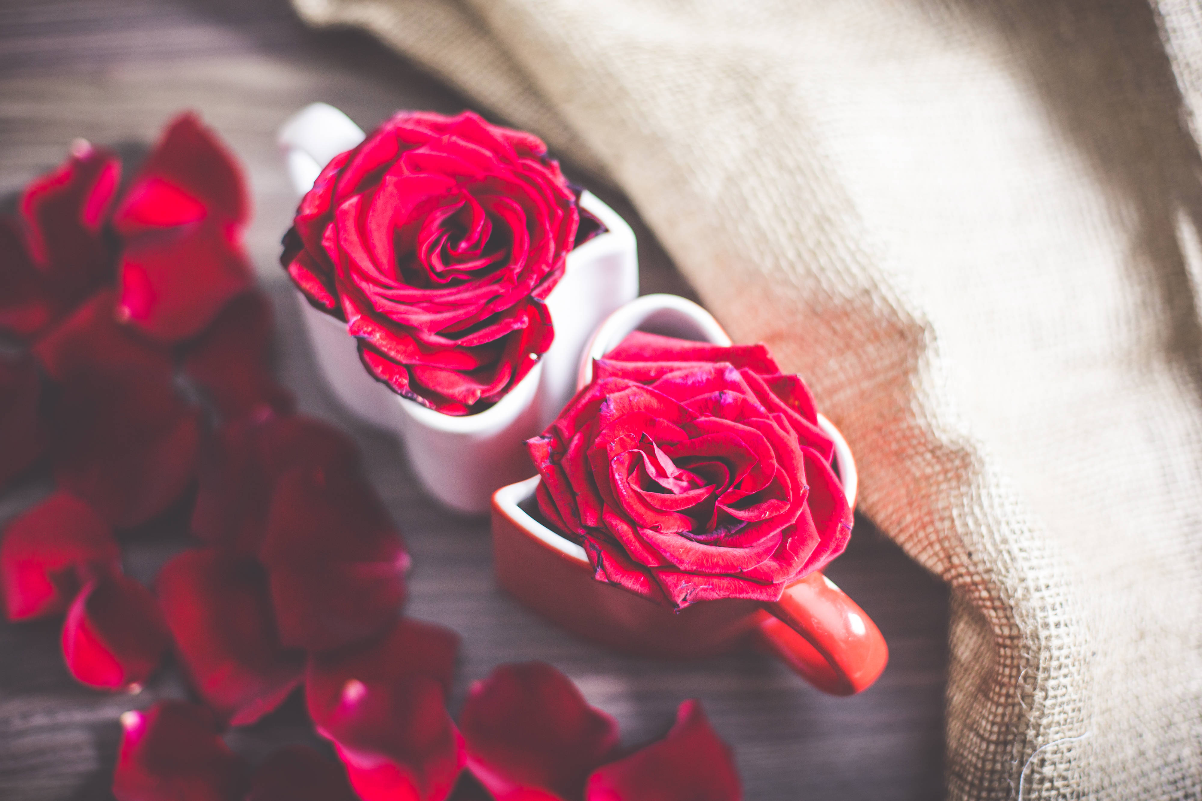 rose aesthetic phone, vibrant red roses, white and red mugs, 4K Desktop Wallpaper