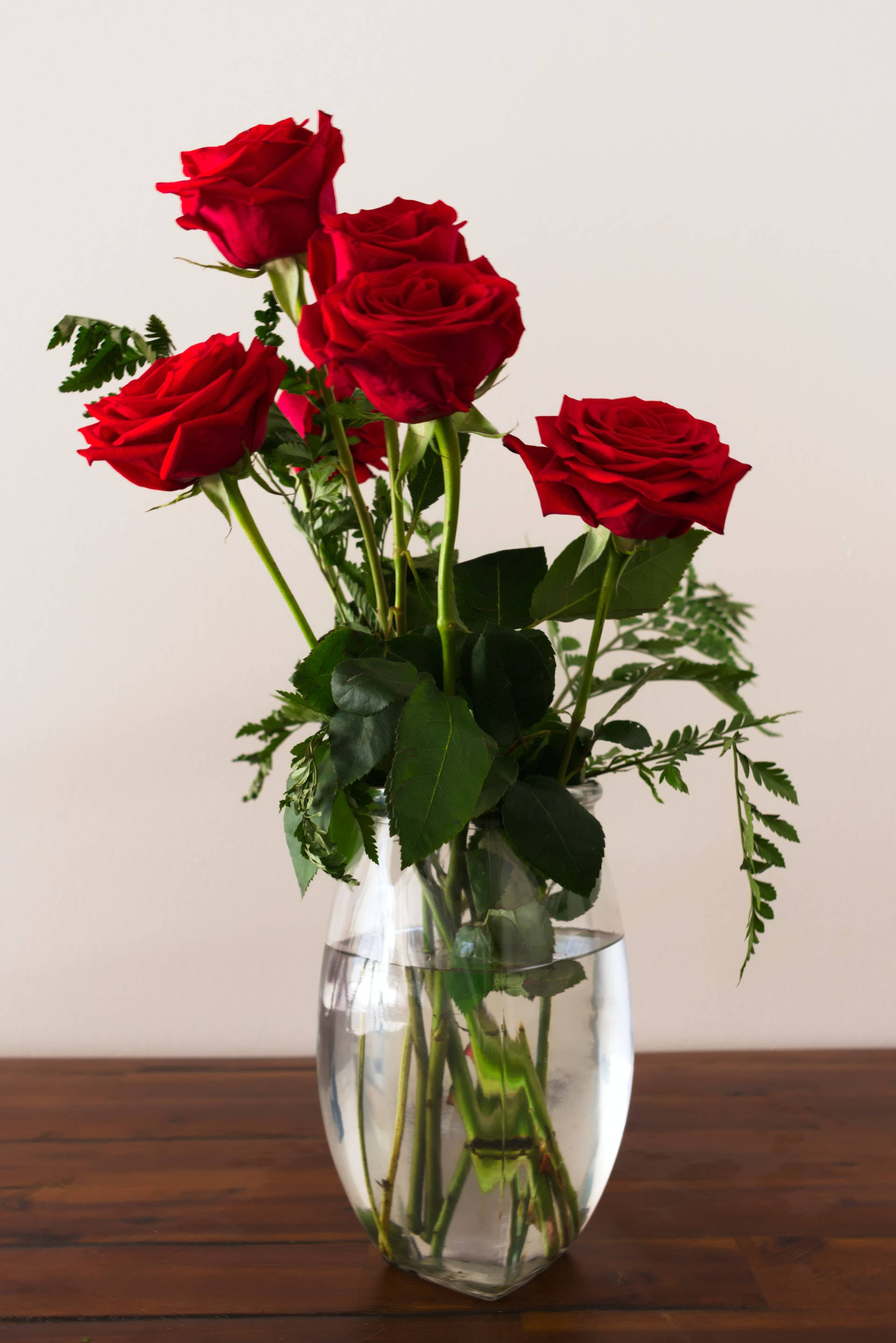 Red Rose Aesthetic, vibrant red roses, lush green leaves, 2K Phone Wallpaper