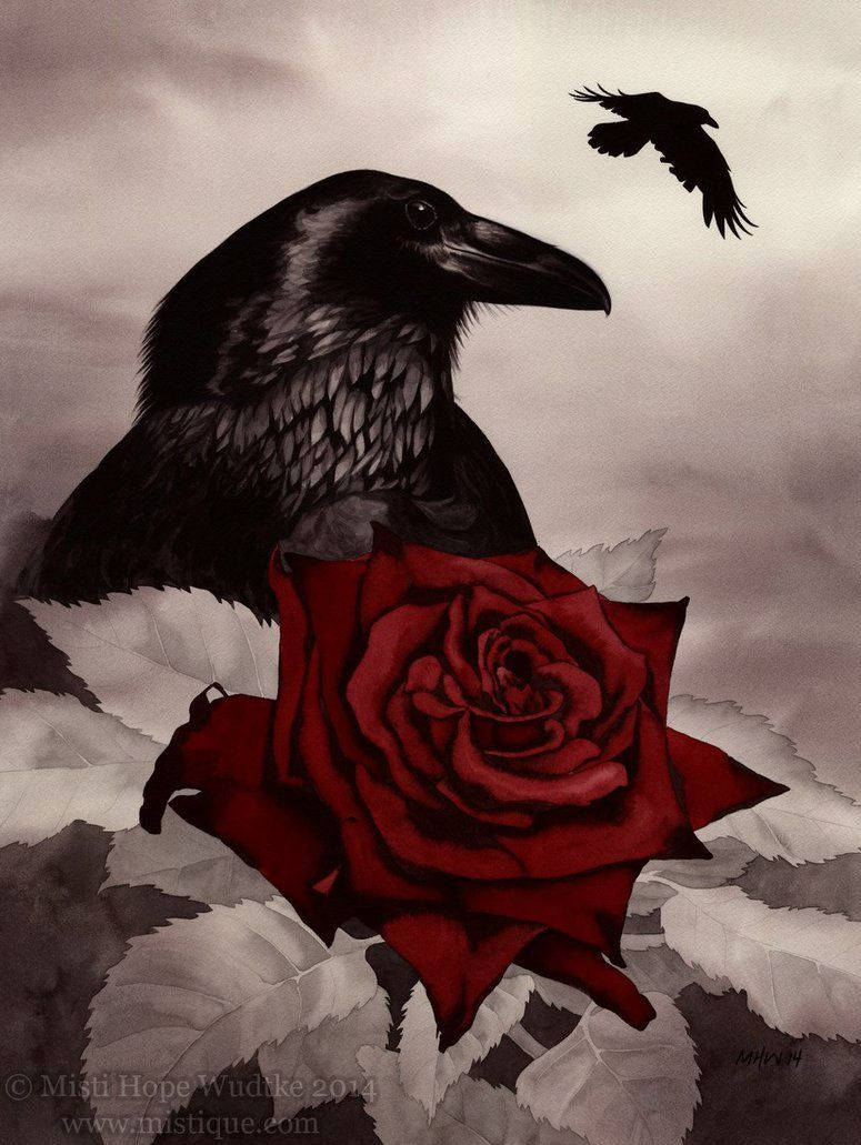 Gothic Raven And Rose Aesthetic, black raven, vivid red rose, SD Phone Wallpaper