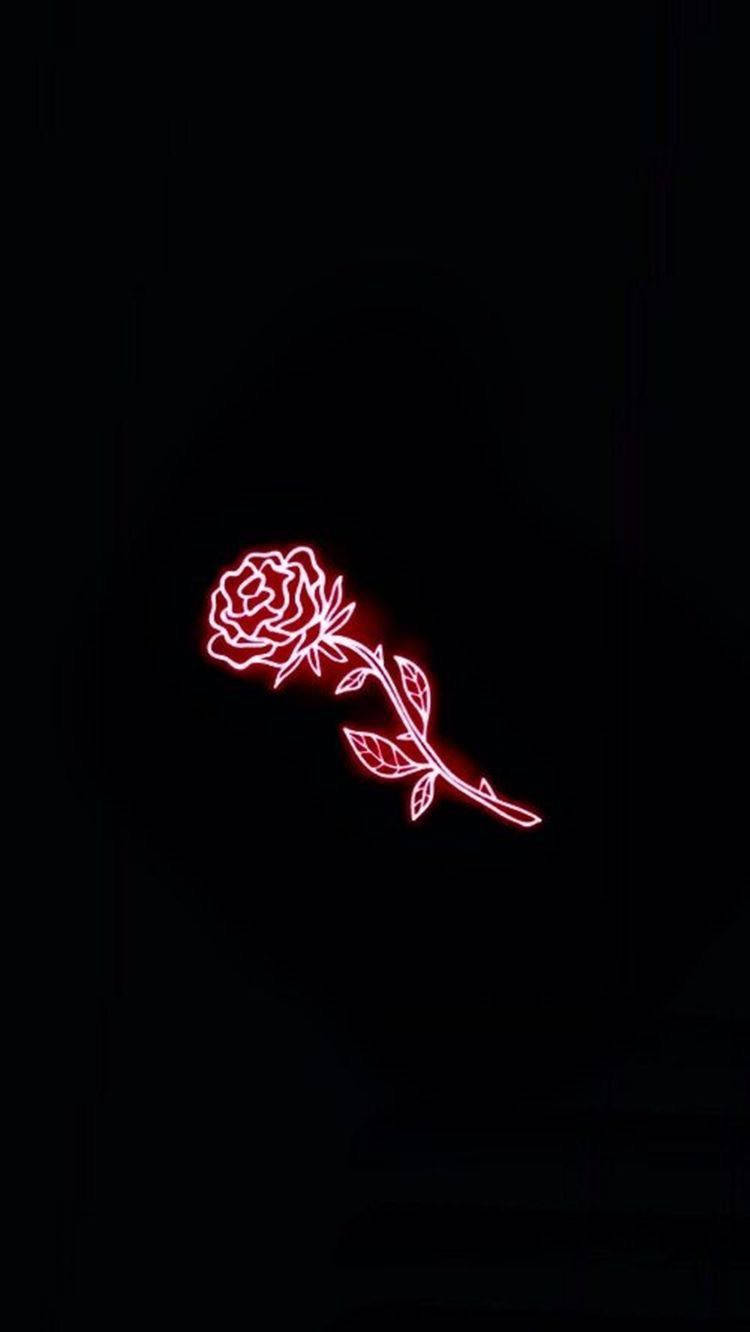 red neon rose, stem, leaves, HD Phone Wallpaper
