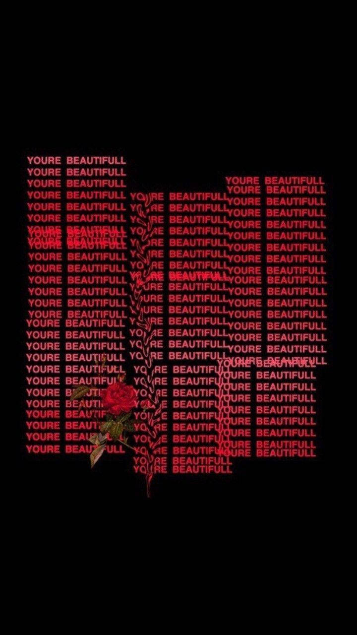 red rose, thorns, repeating red text spelling 'YOU'RE BEAUTIFULL', HD Phone Wallpaper