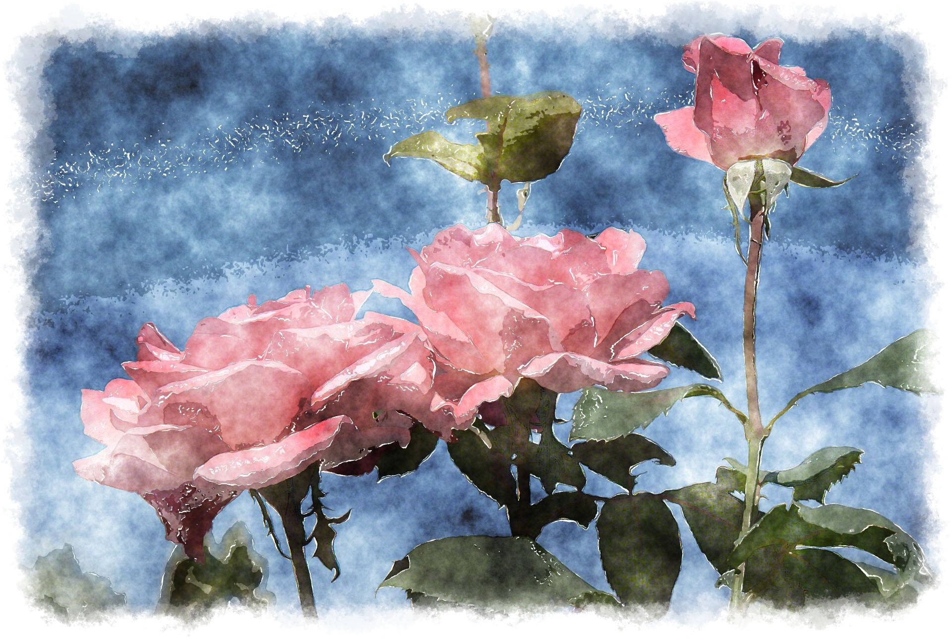 watercolor rose aesthetic, pink roses, textured blue watercolor background, Full HD Desktop Wallpaper