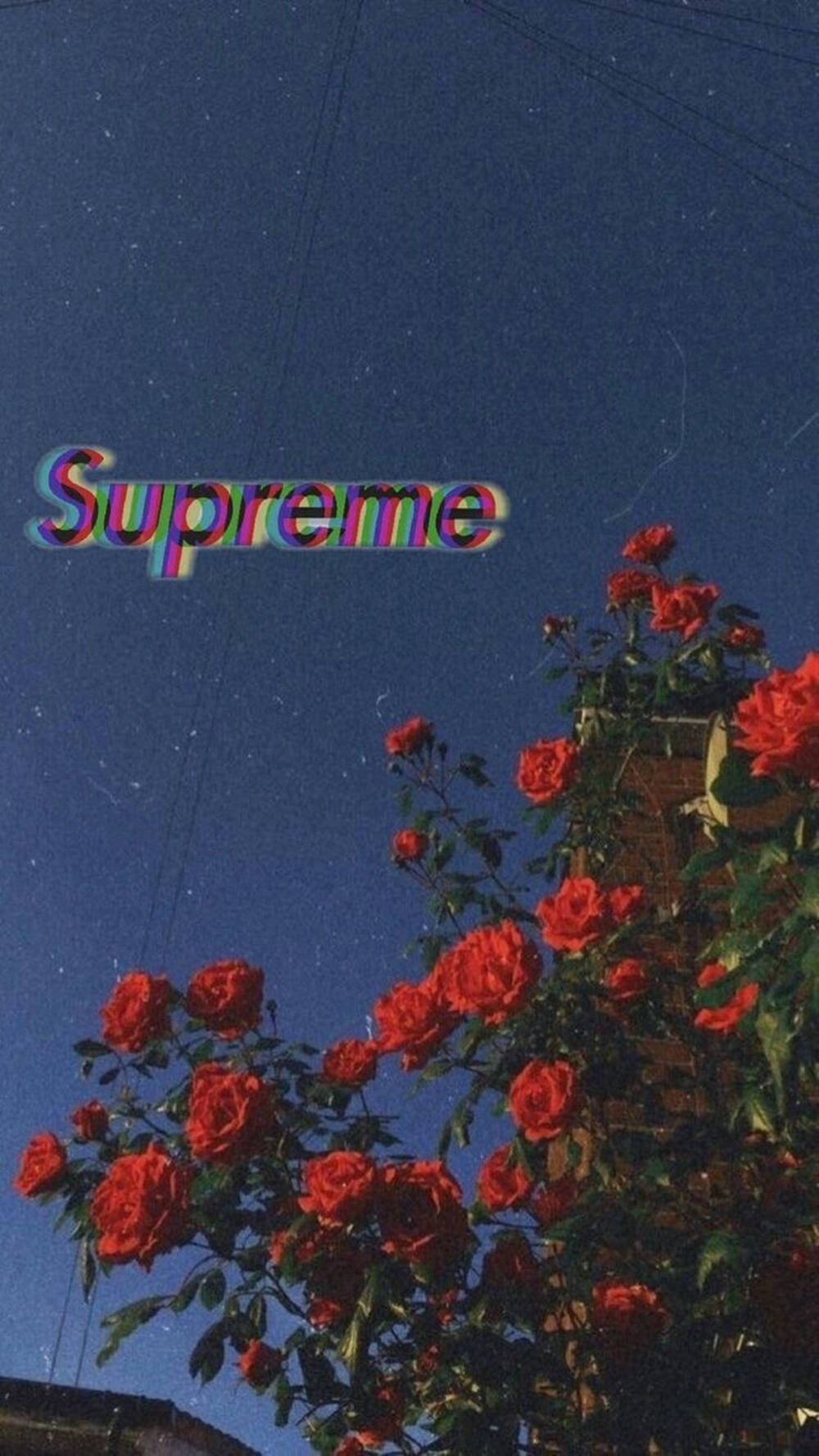 Supreme Aesthetic Nighsky, vibrant red roses, starry night sky, HD Phone Wallpaper