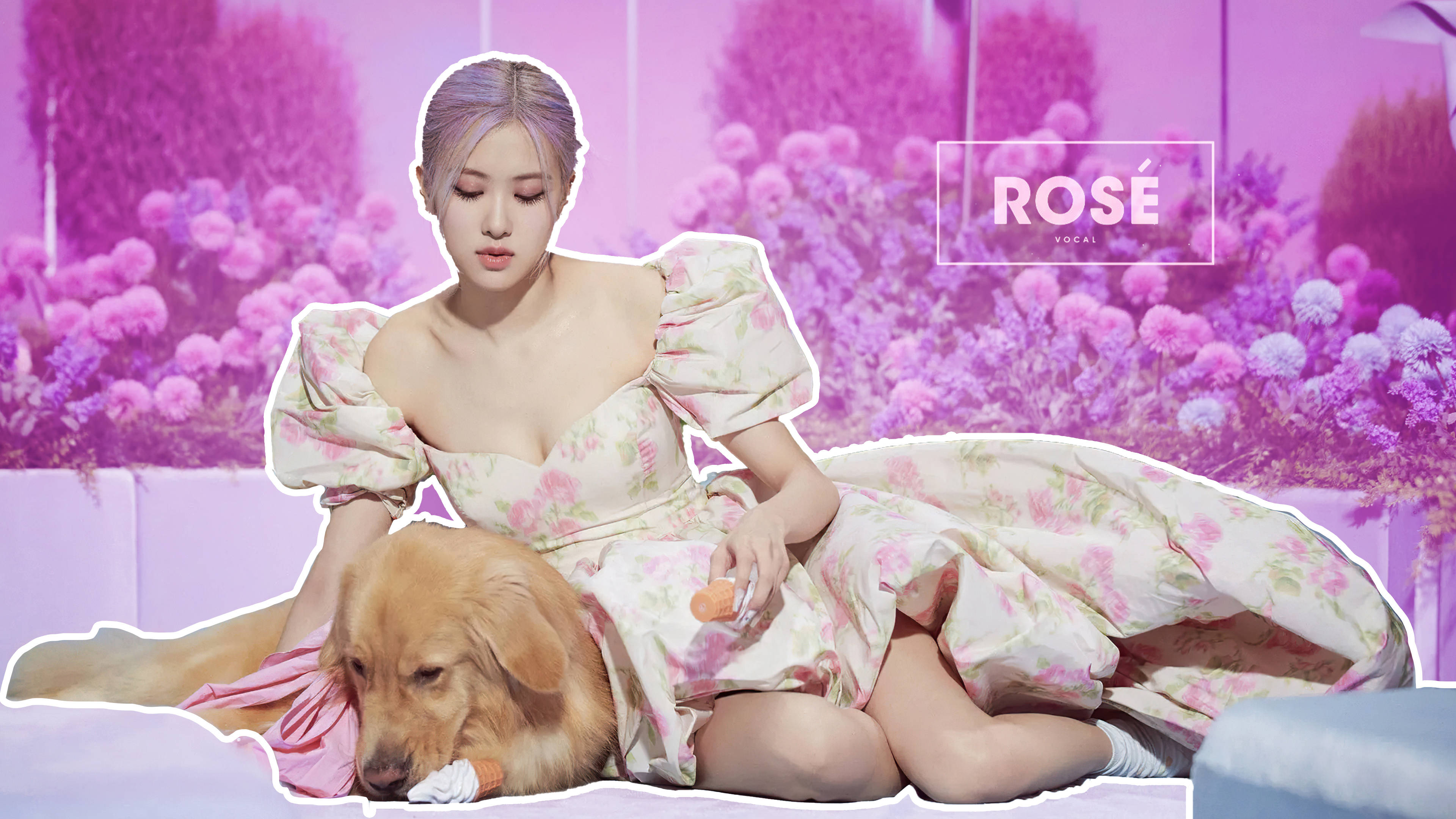 Rose Blackpink, golden retriever, floral dress, 4K Desktop Wallpaper
