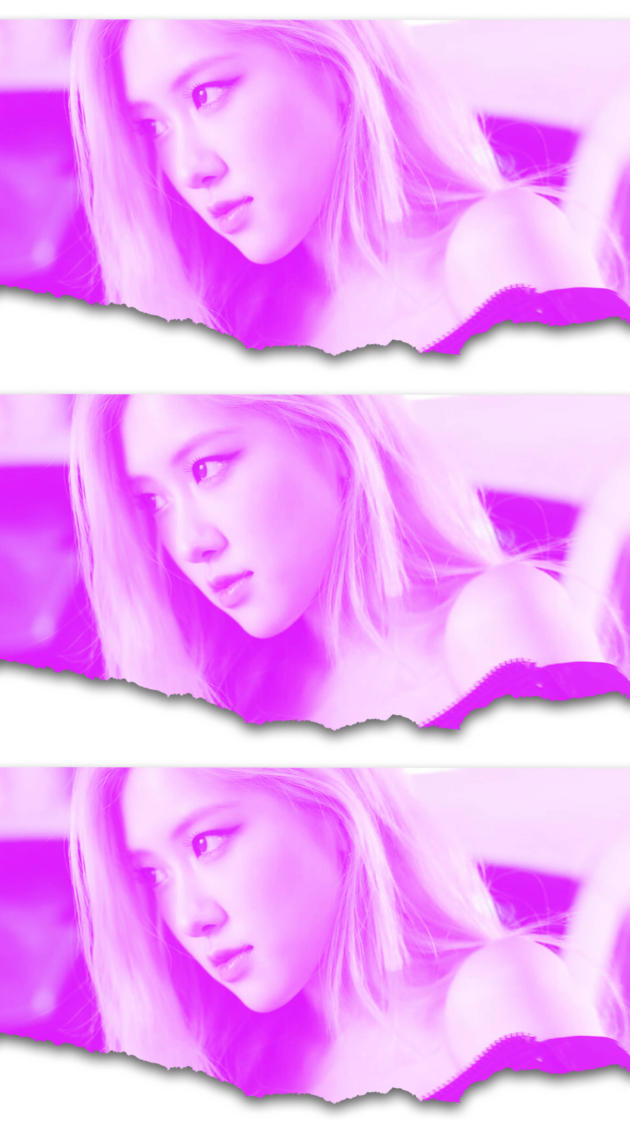 Rose Blackpink, pink filter, torn purple filter, 4K Phone Wallpaper