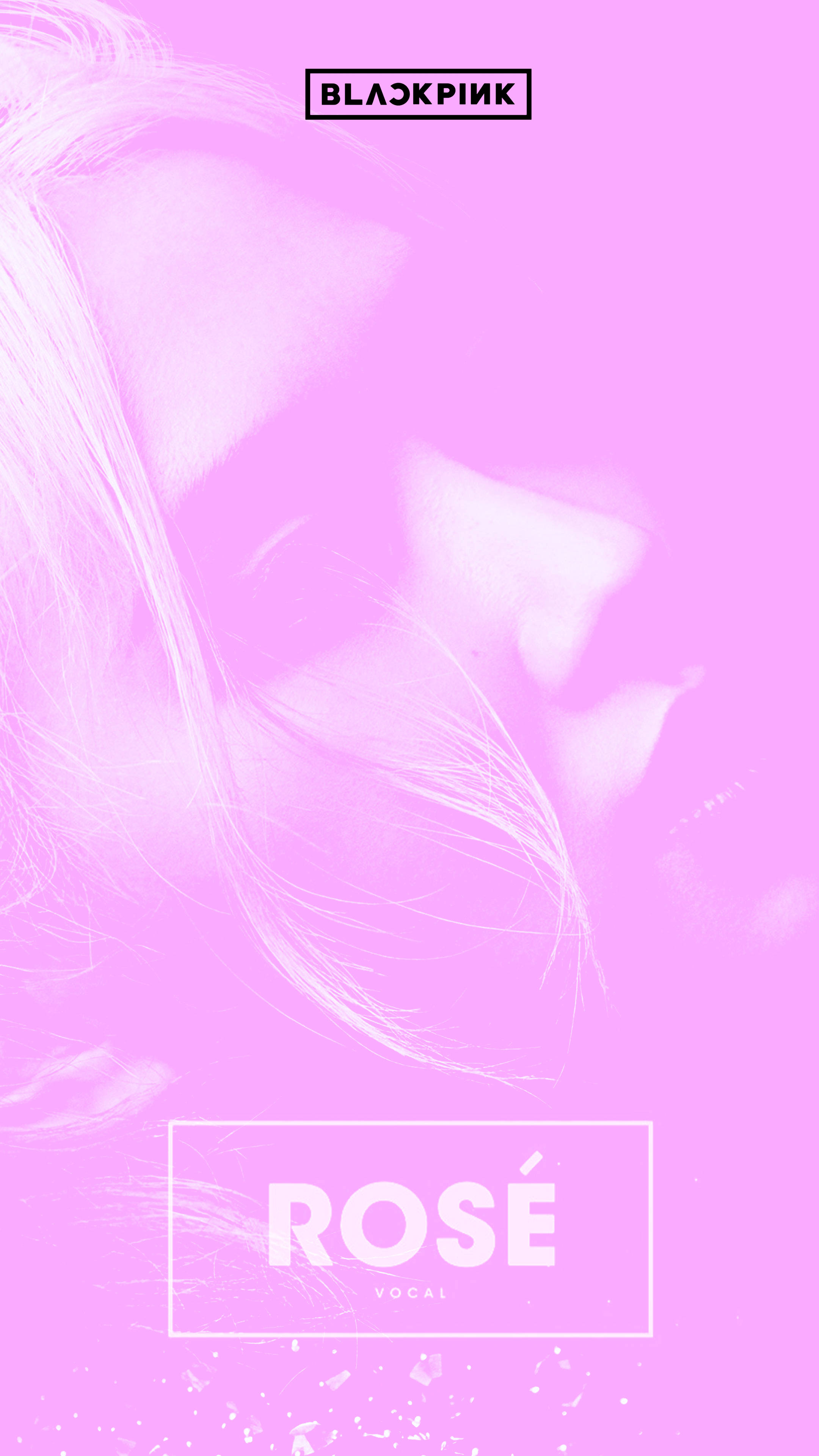 Rose Blackpink, artistic pink photo, soft pink wallpaper, 4K Phone Wallpaper