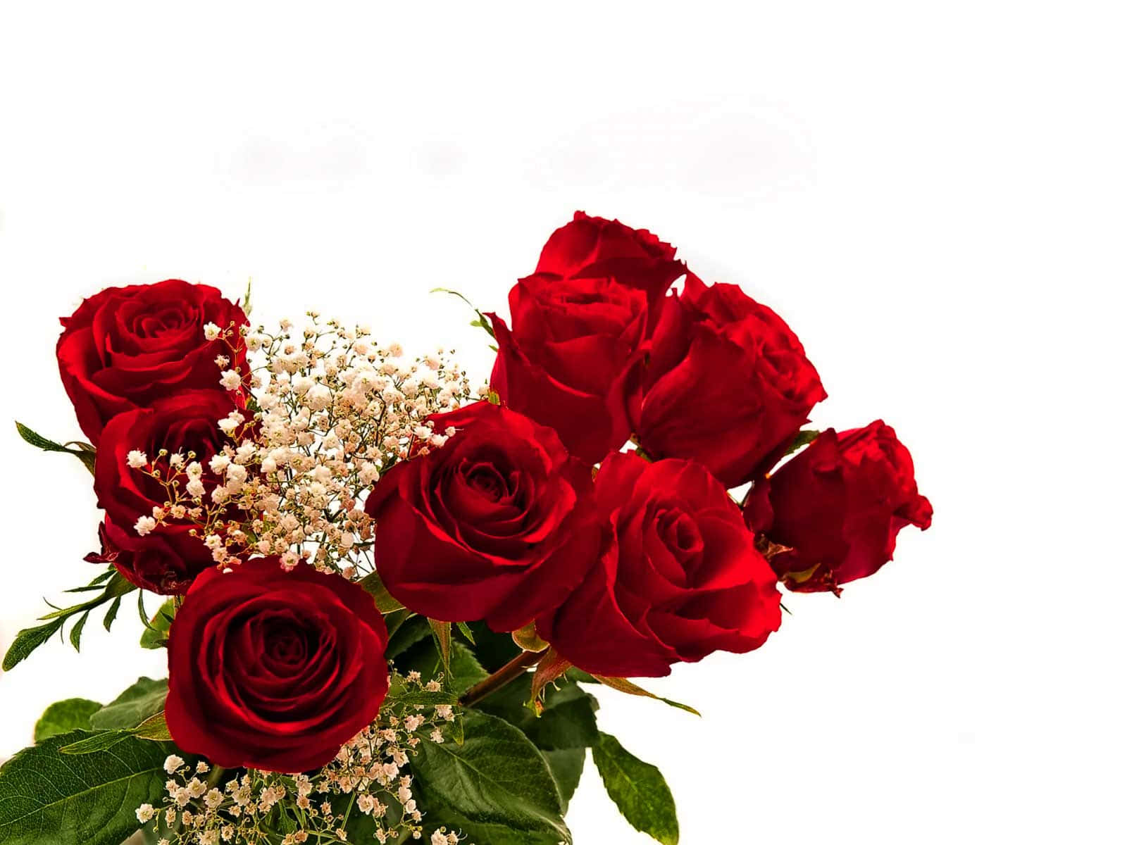 red rose bouquet, gysophila, baby's breath, HD Desktop Wallpaper