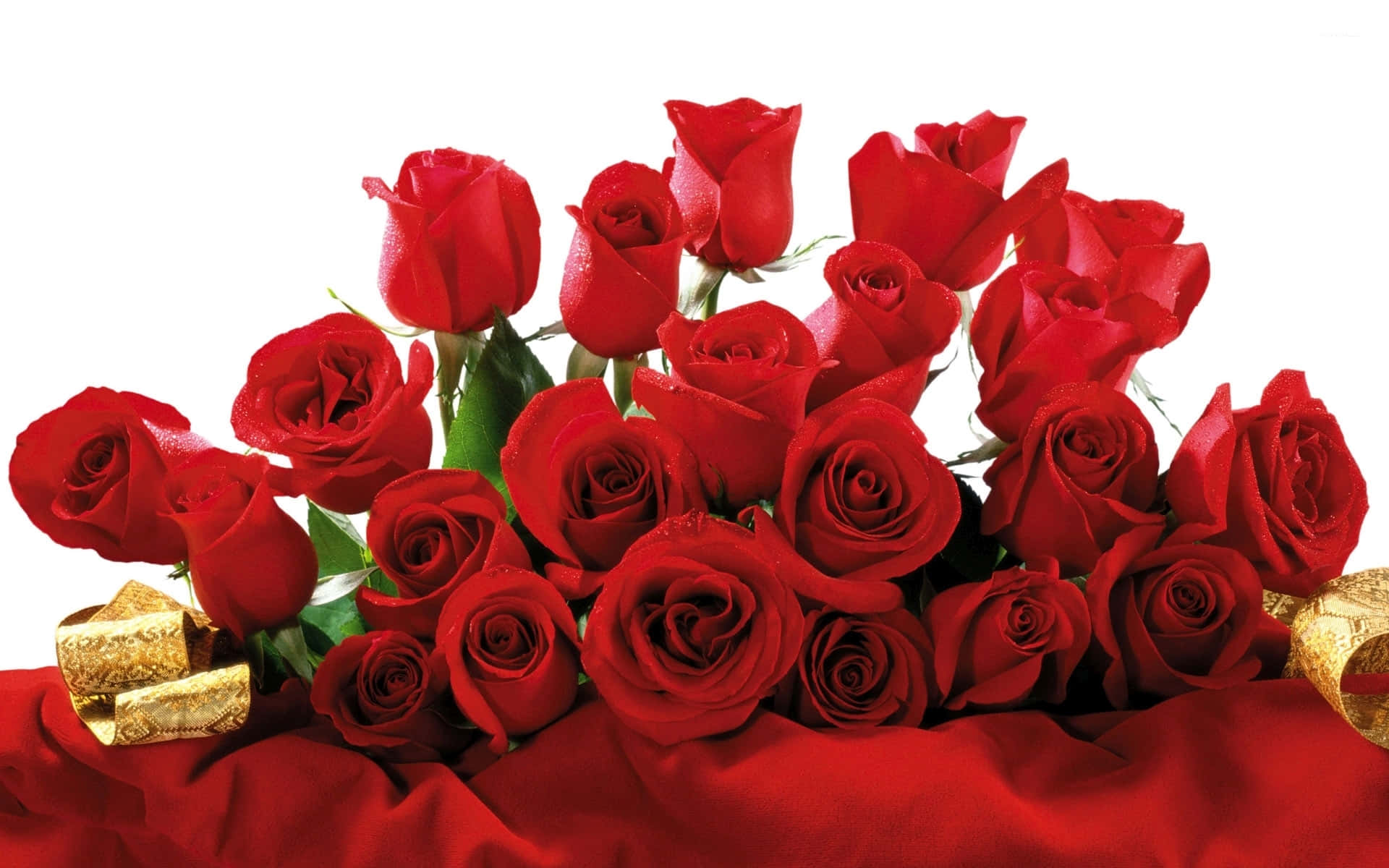 red rose bouquet, valentine, vibrant red roses, Full HD Desktop Wallpaper