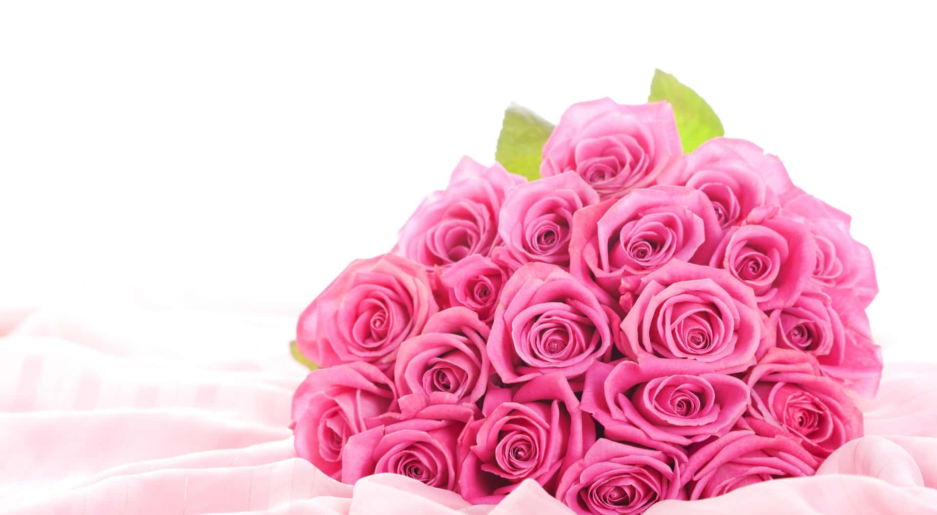 pastel pink rose bouquet, vibrant pink roses, soft pink fabric, HD Desktop Wallpaper