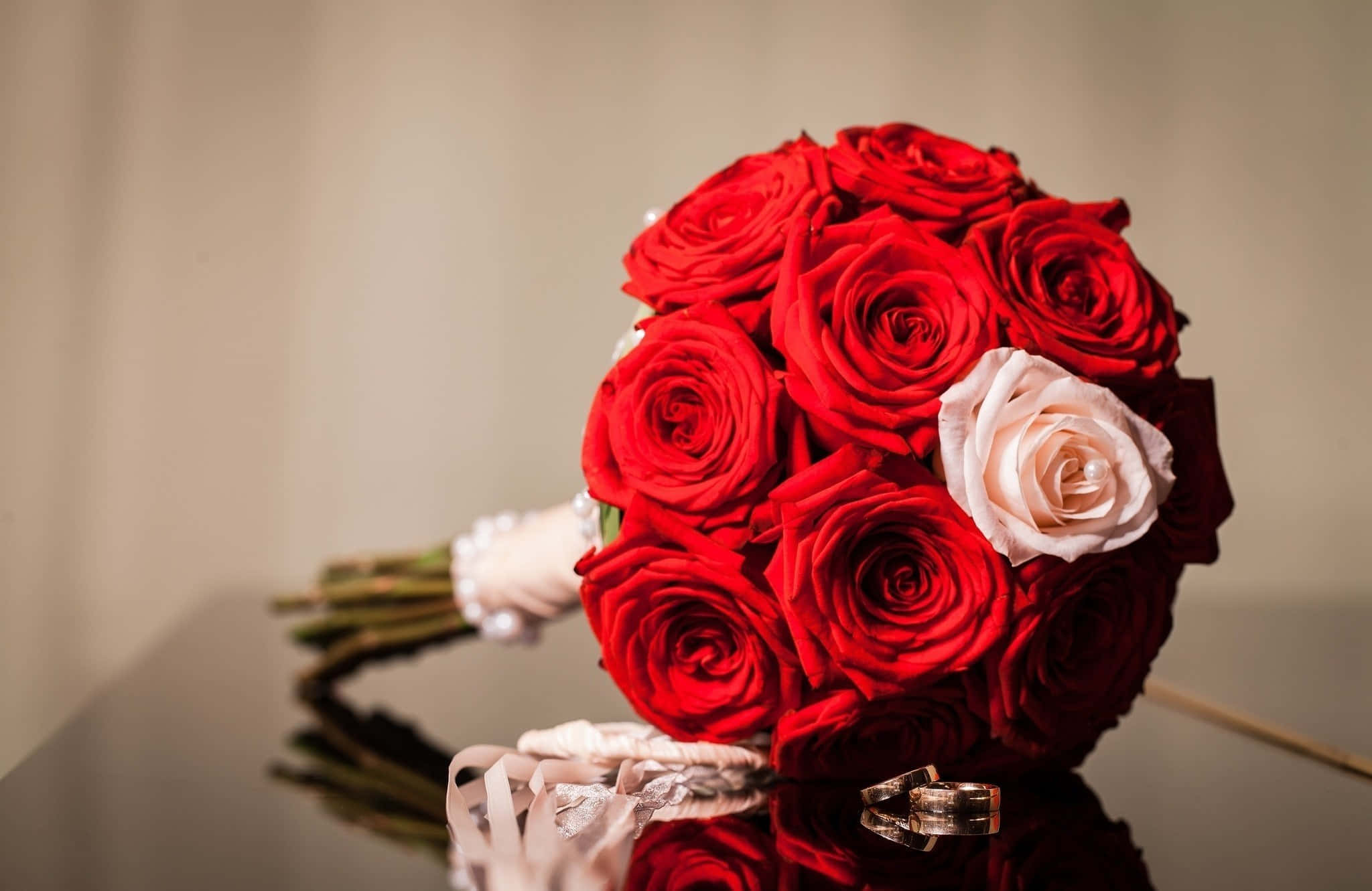 red rose, blush rose, pearl accents, Full HD Desktop Wallpaper
