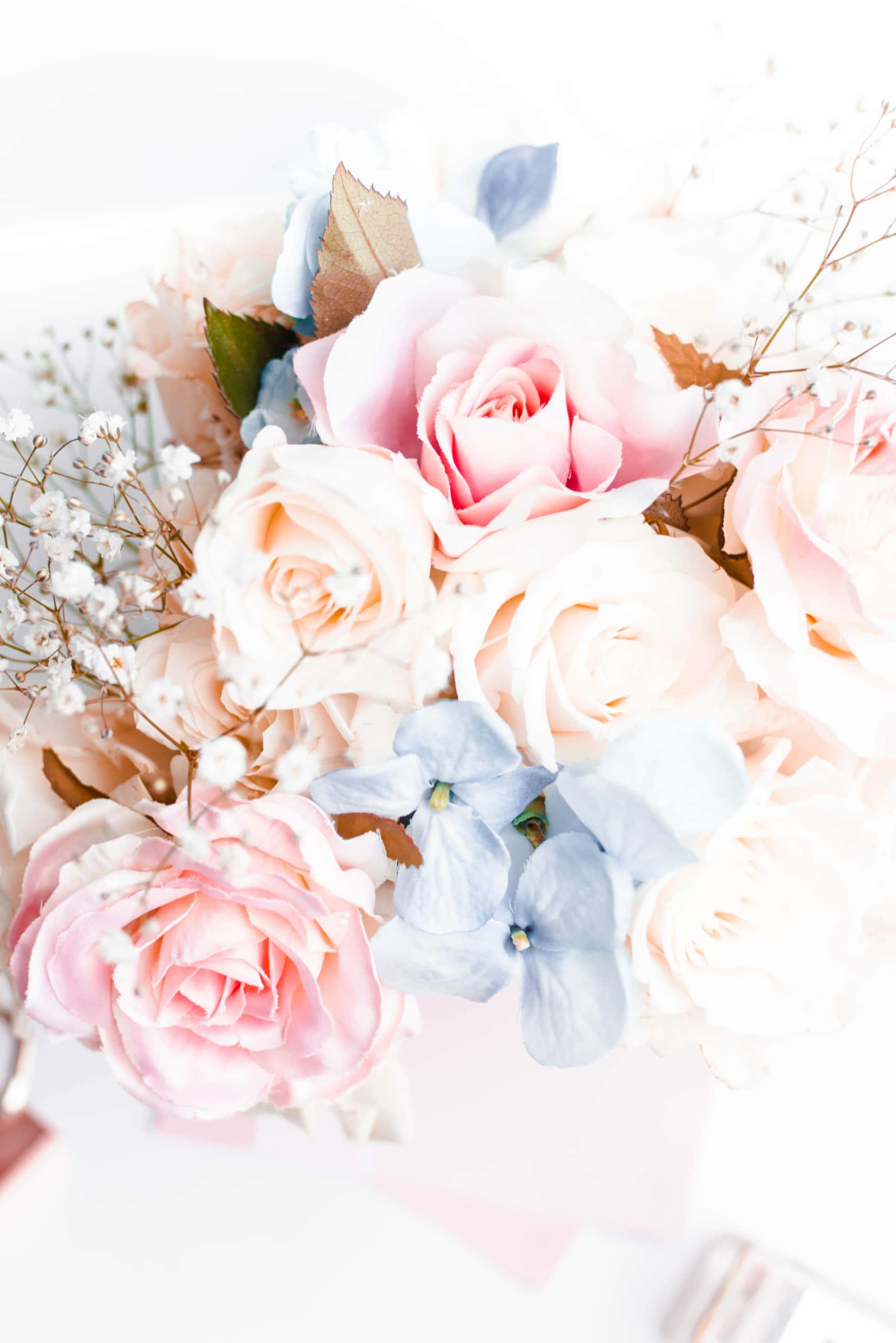 pink roses, blue hydrangeas, baby's breath, 2K Phone Wallpaper