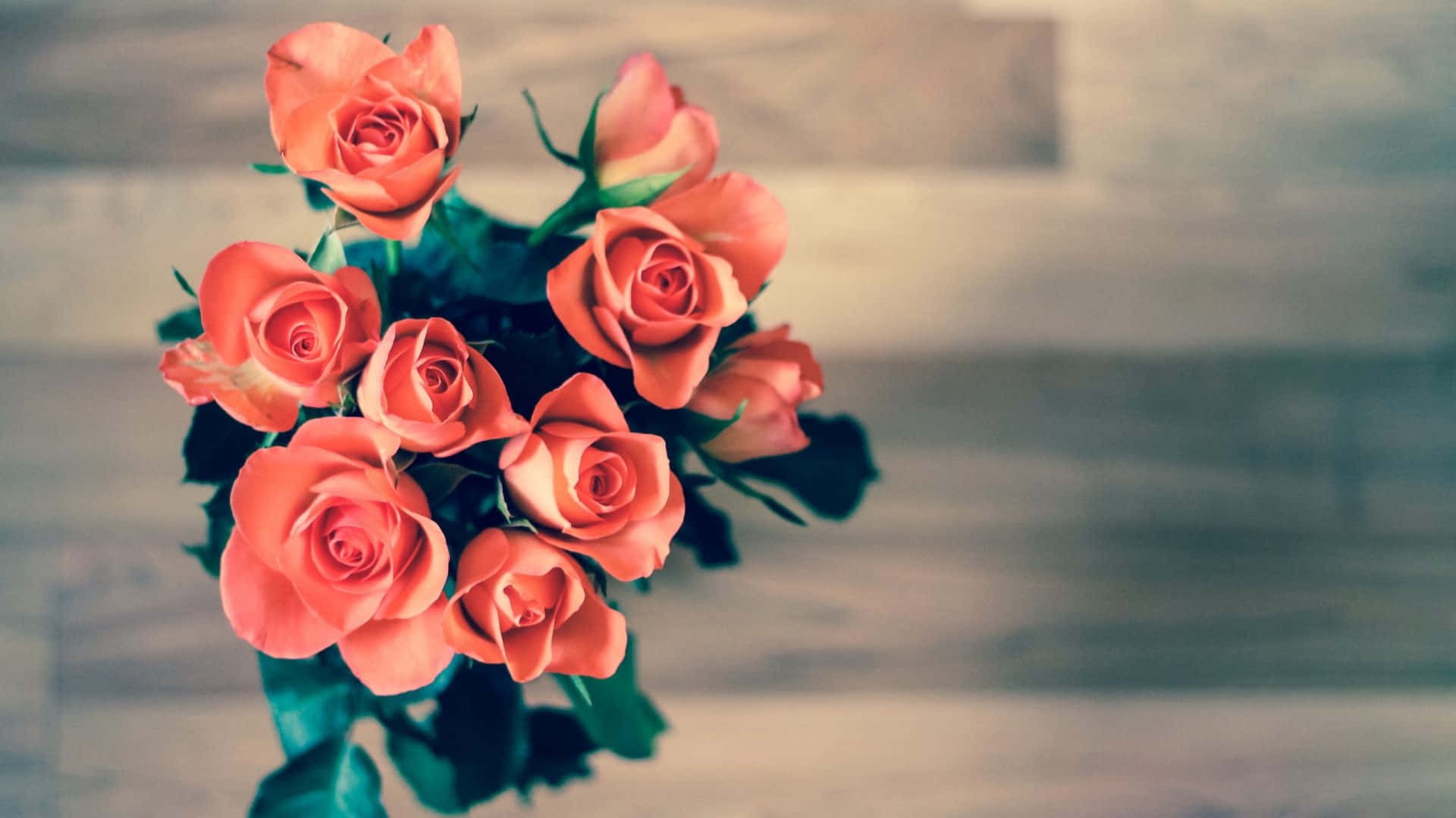 pink new year rose bouquet, coral roses, deep green leaves, Full HD Desktop Wallpaper