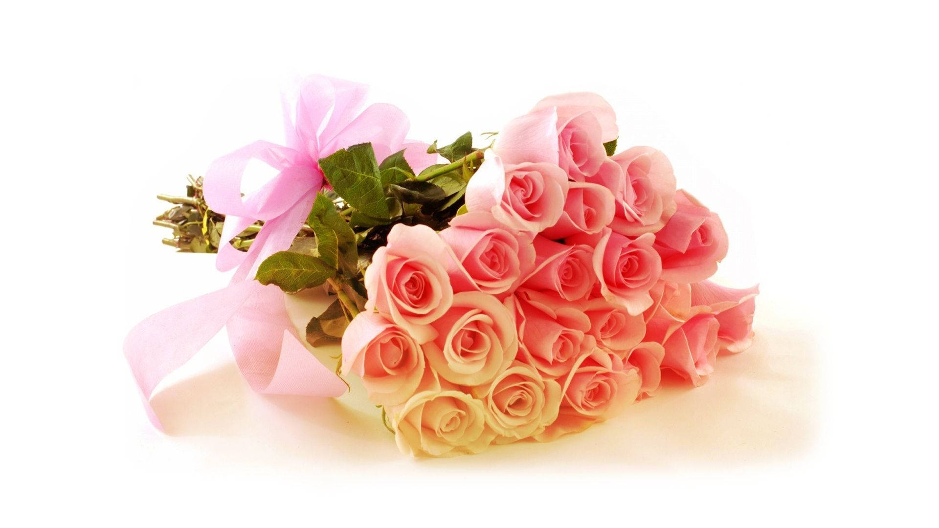 bouquet gradient pink roses, pink roses, delicate pink ribbon, Full HD Desktop Wallpaper