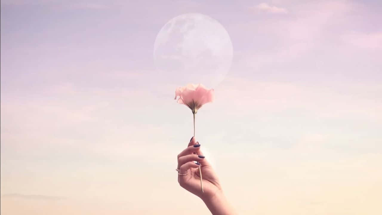 rose gold laptop, pink rose, pastel sky, HD Desktop Wallpaper