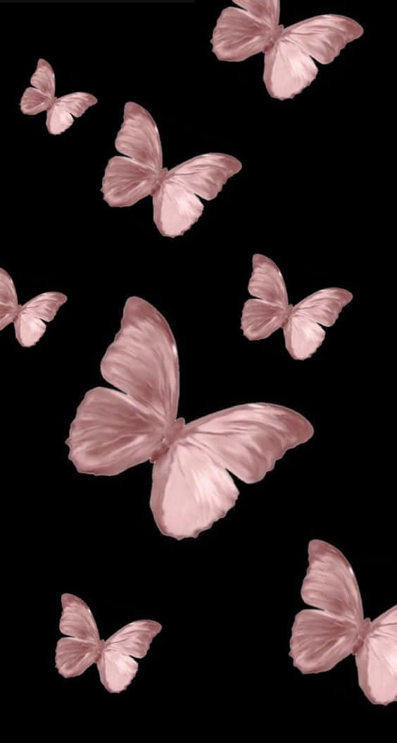 Rose Gold And Black, pink butterflies, stark black background, SD Phone Wallpaper