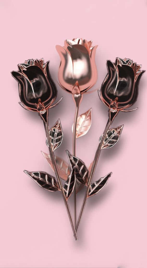 rose gold, black, metallic roses, SD Phone Wallpaper