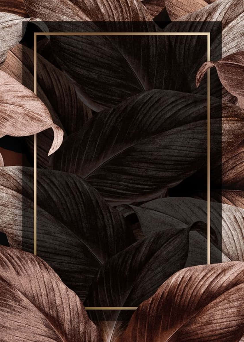 Rose Gold And Black, dark brown tropical leaves, thin gold border, SD Phone Wallpaper