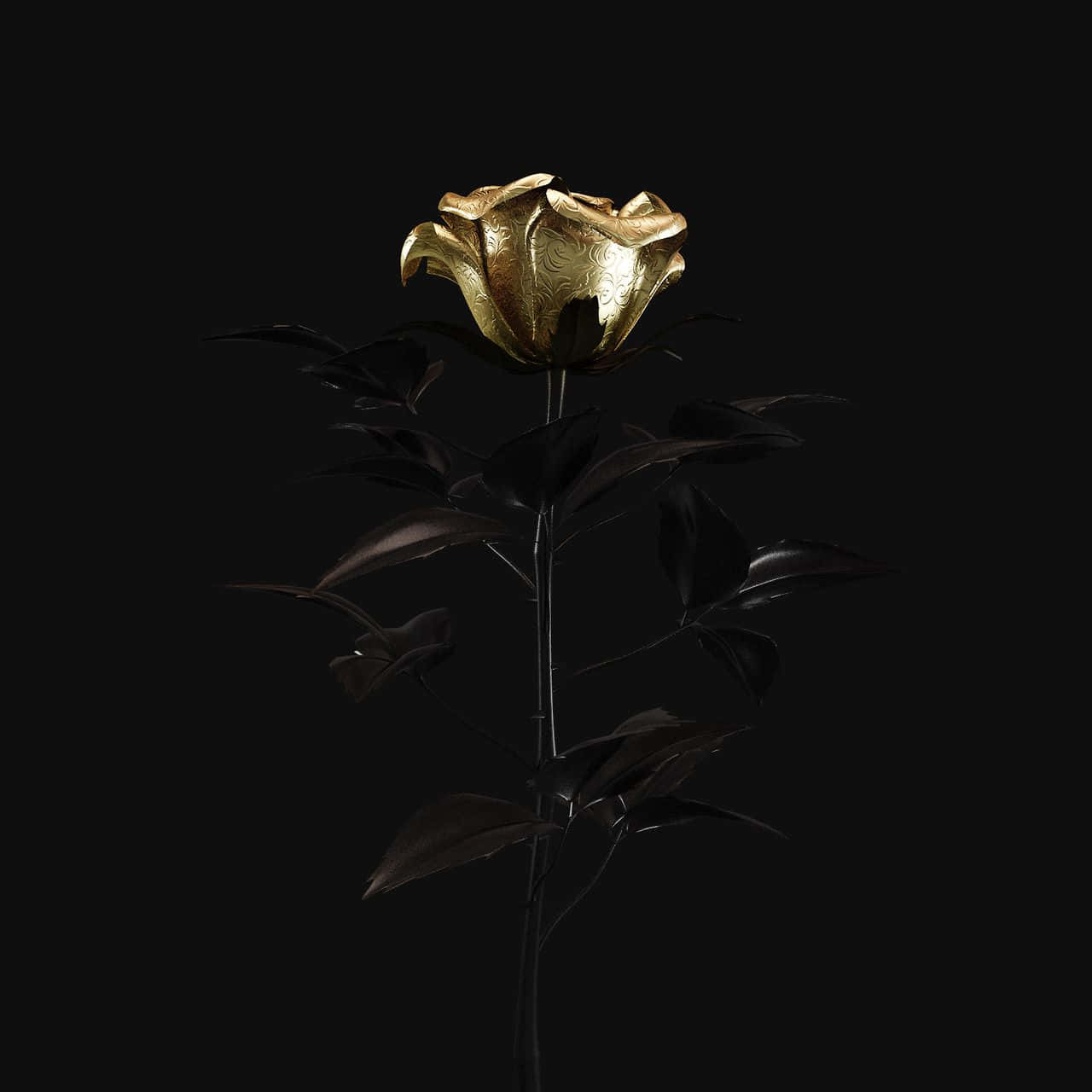 gold rose, black background, intricate embossed petals, HD Desktop Wallpaper