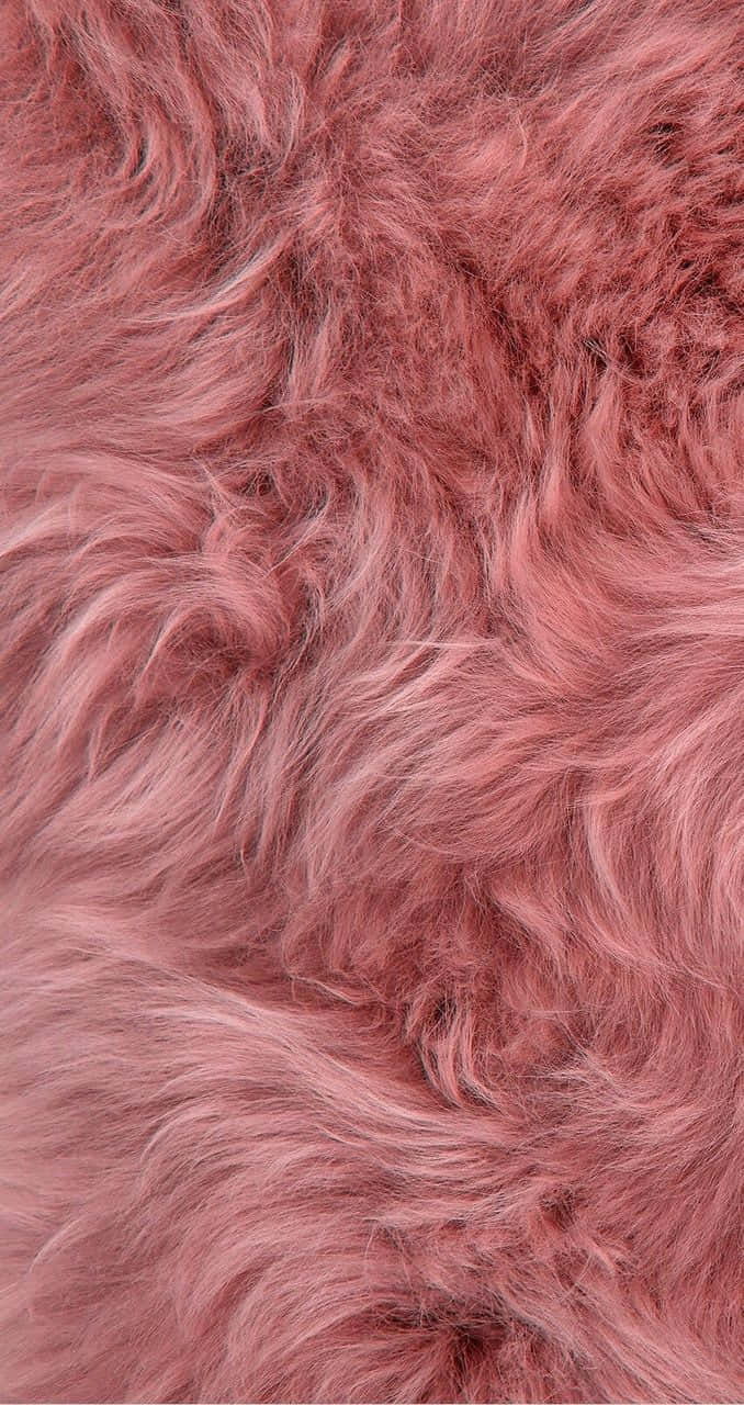 rose gold color, soft fluffy pink fur, gentle highlights, HD Phone Wallpaper
