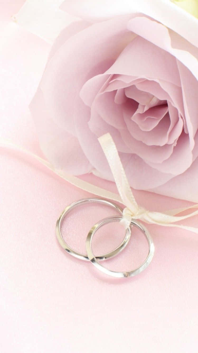 Rose Gold iPhone 5, silver wedding rings, soft pink rose, HD Phone Wallpaper
