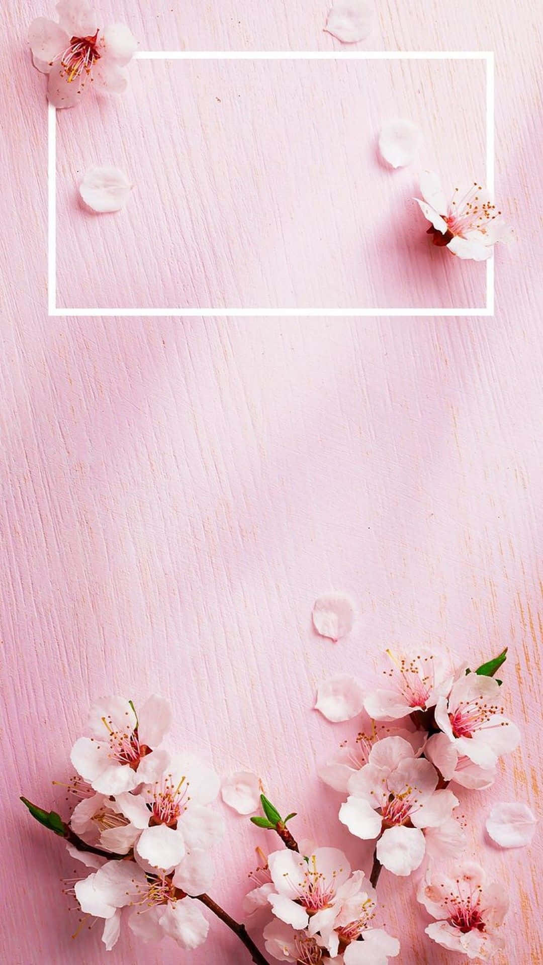 Rose Gold iPhone 5, pink cherry blossoms, petals, Full HD Phone Wallpaper